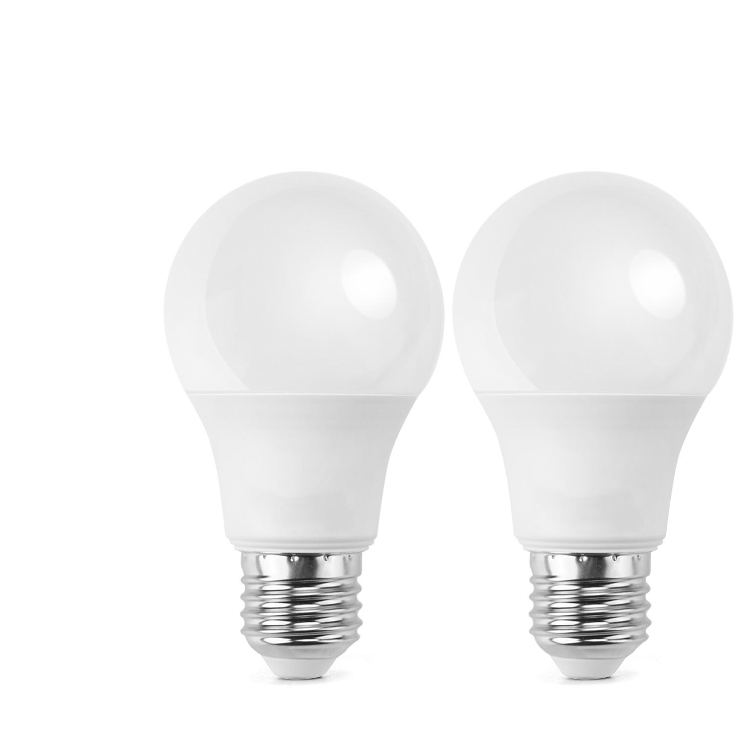 LED E27 17W A60 2pcs ( general bulb )