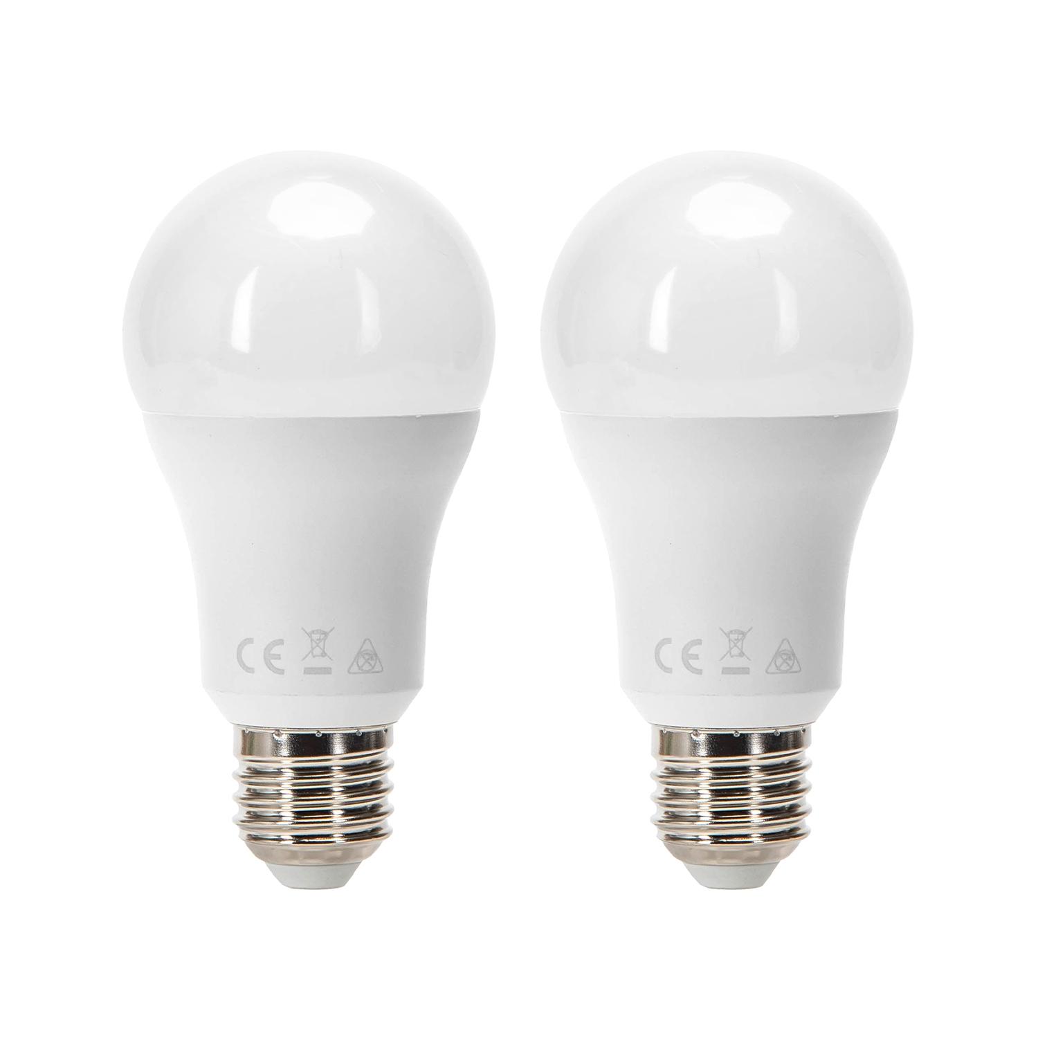 LED E27 19W A60 2pcs ( general bulb )