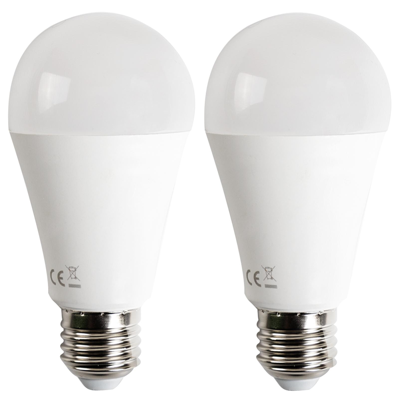 LED E27 19W A60 2pcs ( general bulb )