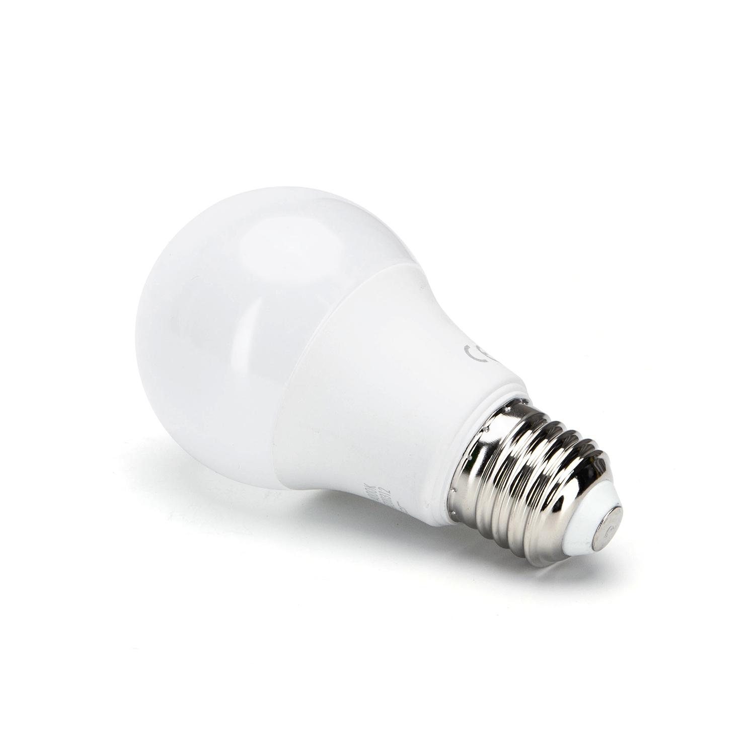 LED E27 A60 10W