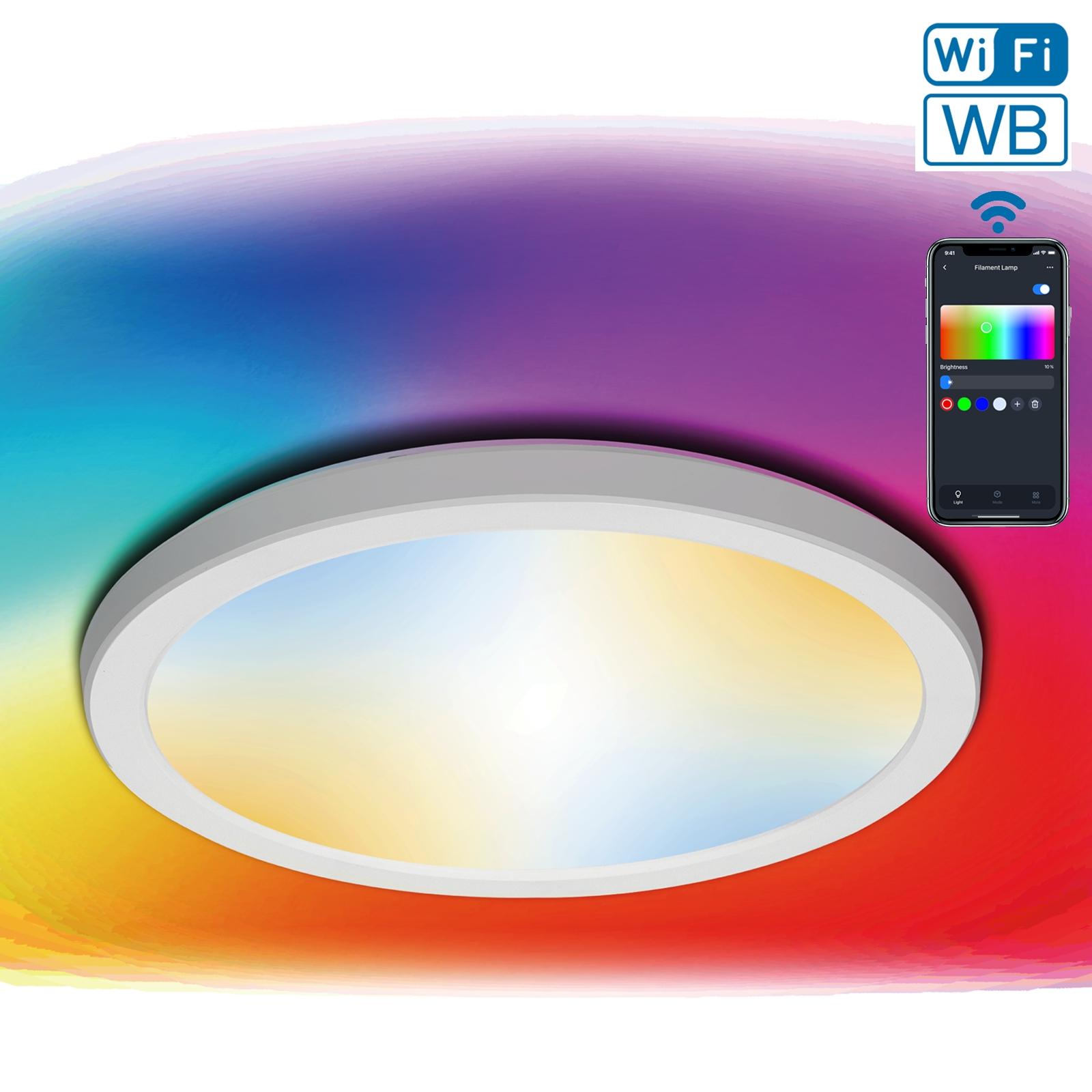 Smart Ceiling Light CCT 18W+RGB 4W 2700K-6500K Φ295*H27 mm