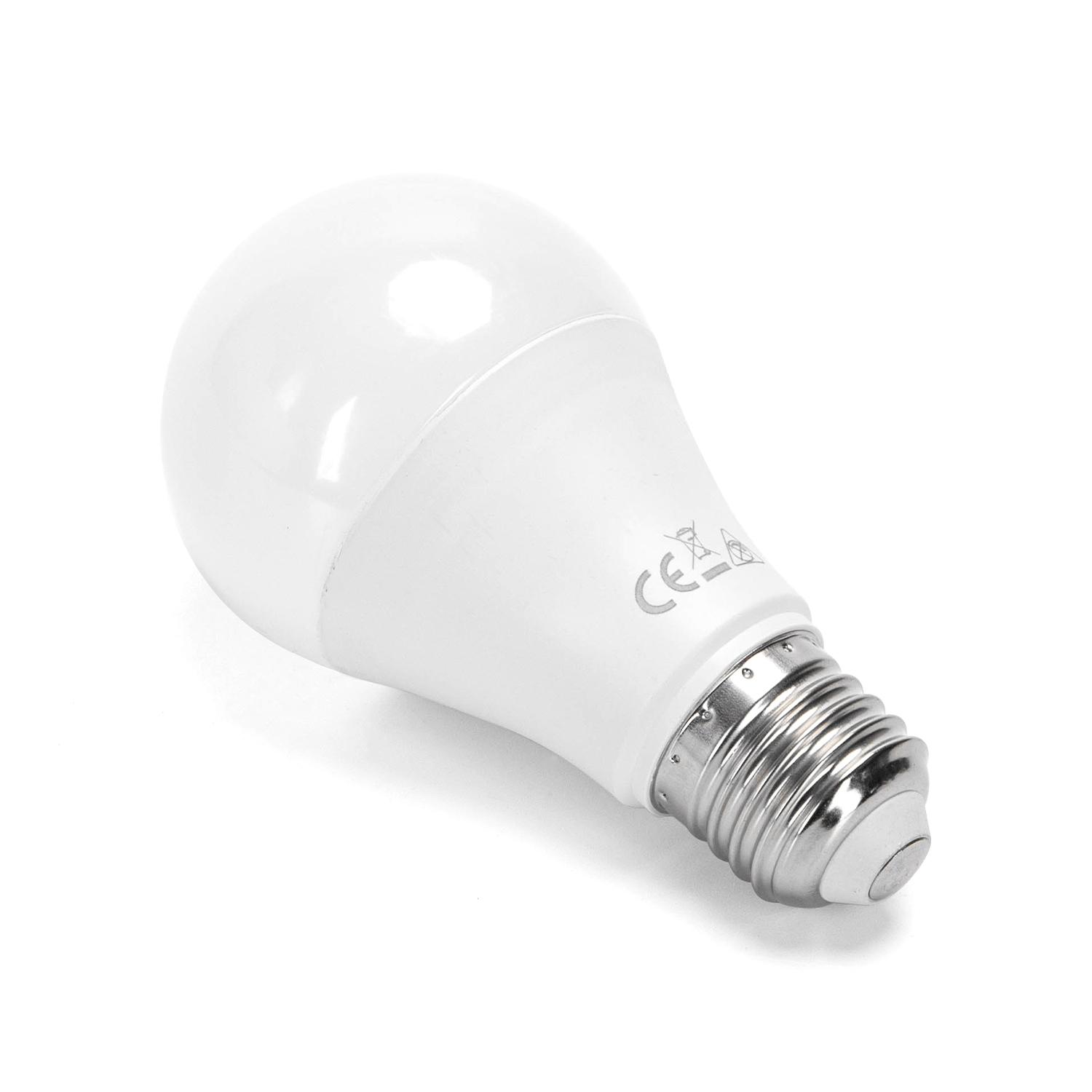 LED E27 10W A60 ( general bulb )