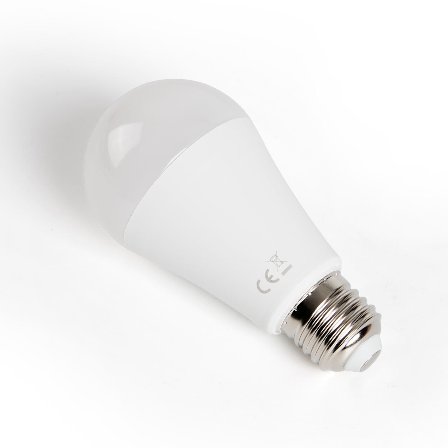 LED E27 19W A60 2pcs ( general bulb )