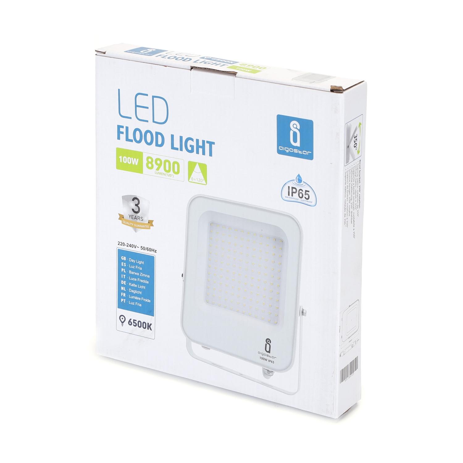 LED Floodlight White 100W