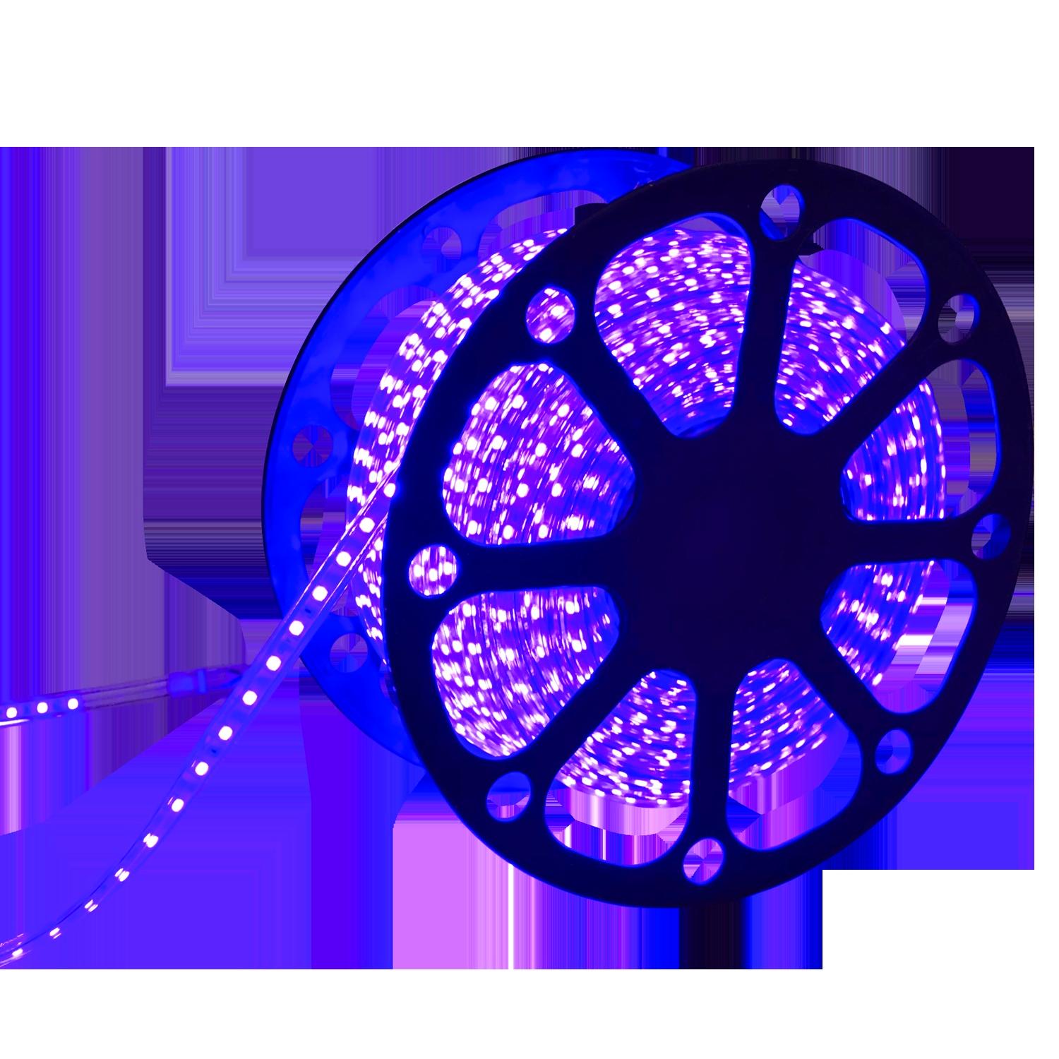 LED strip light 5050 Blue light