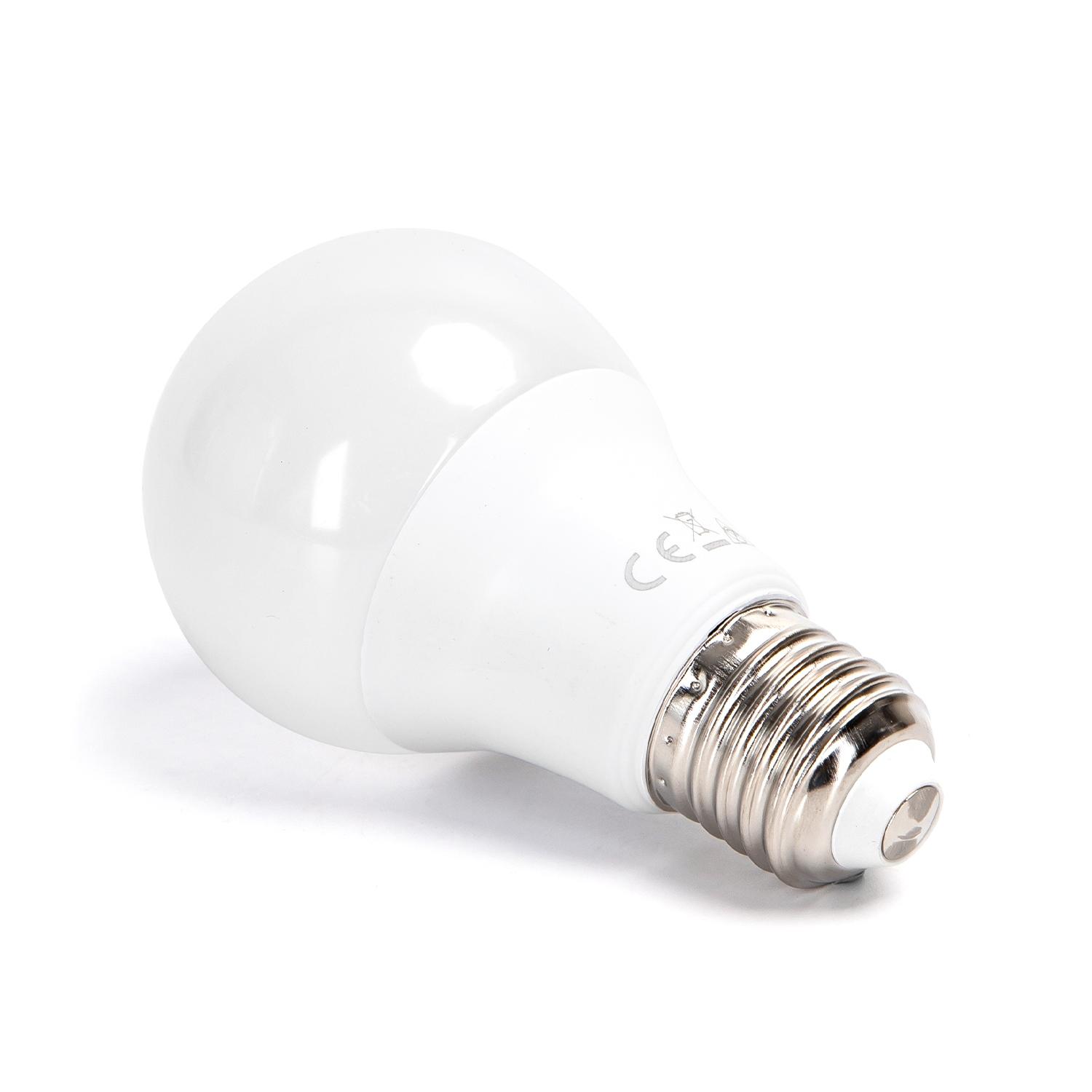 LED E27 6W A60 2pcs ( general bulb )