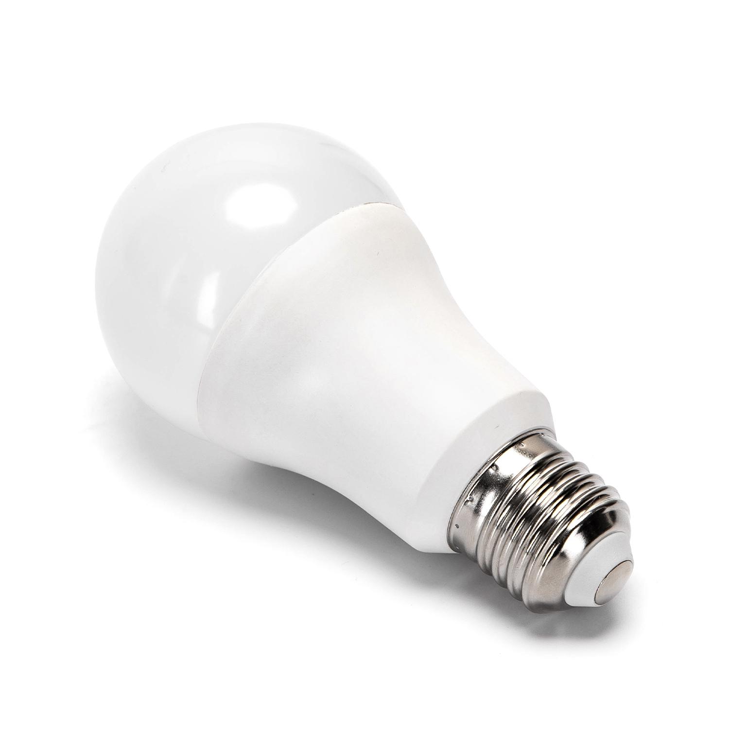 LED E27 24W A60 2pcs ( general bulb )