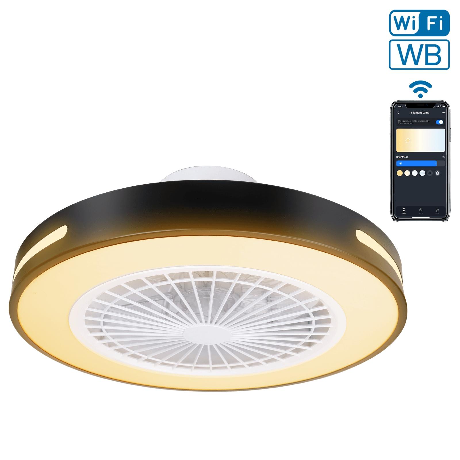 WB smart ceiling fan light 55W