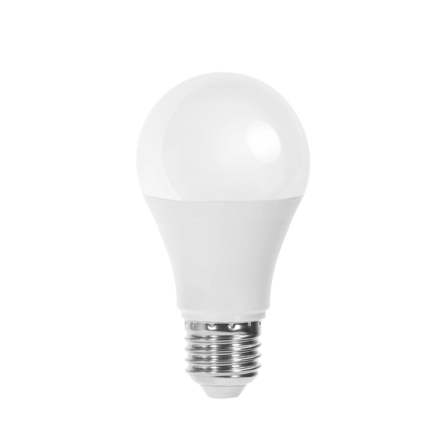 LED E27 12W A60 ( general bulb )