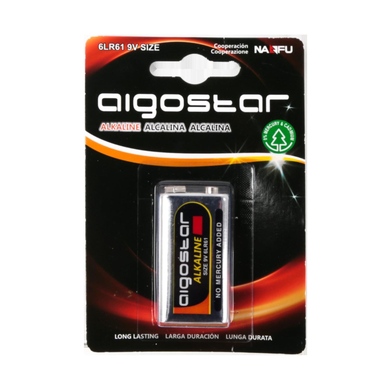 Alkaline battery 6LR61 9V-1B 9V