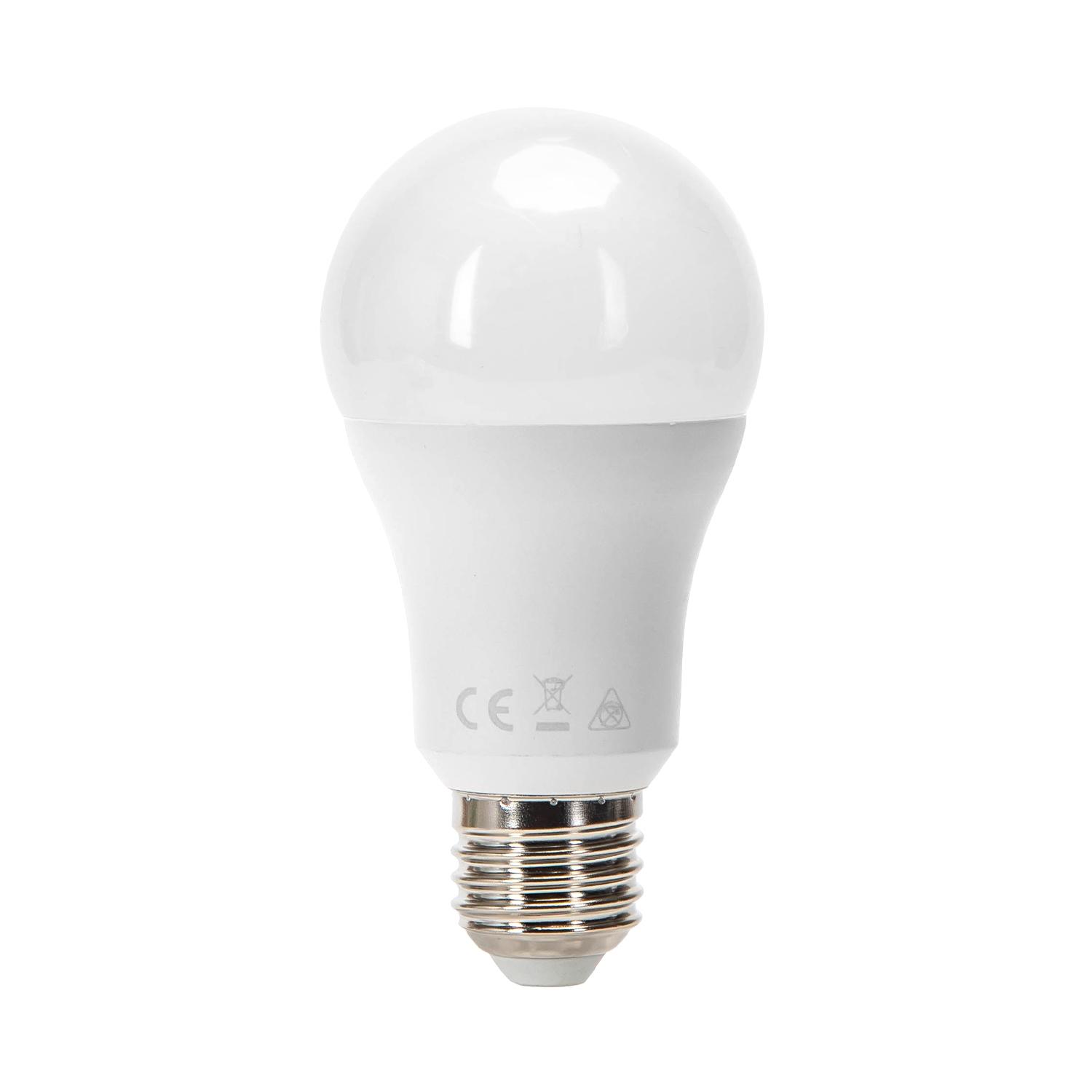 LED E27 17W A60 2pcs ( general bulb )