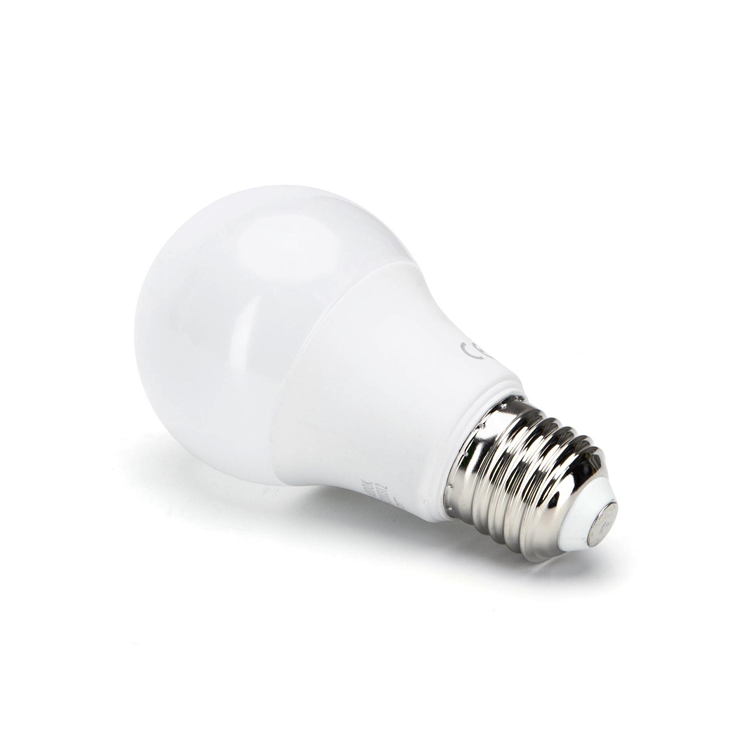 LED E27 17W A60 ( general bulb )