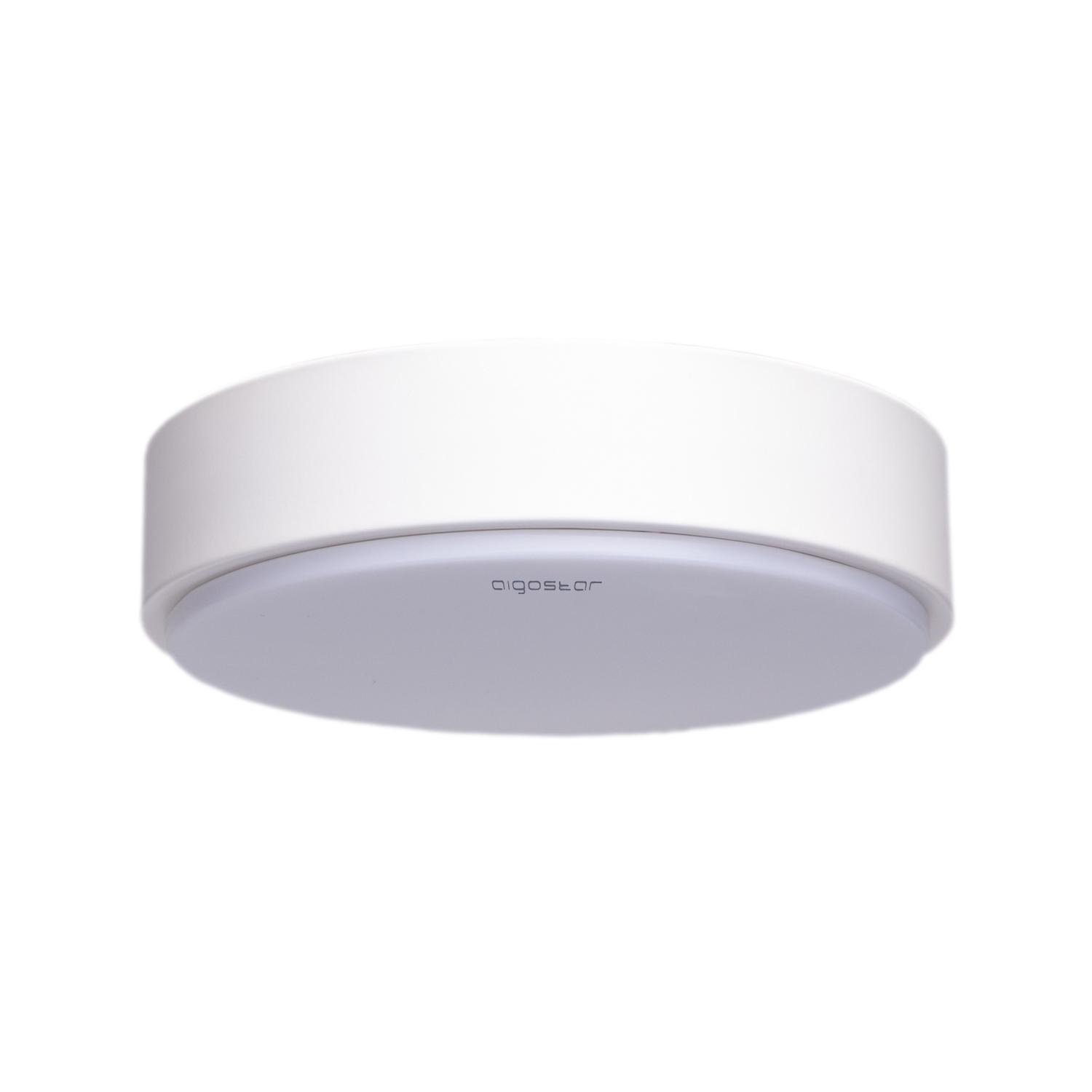 Ceiling Light 24W 6500K D400*H50 mm