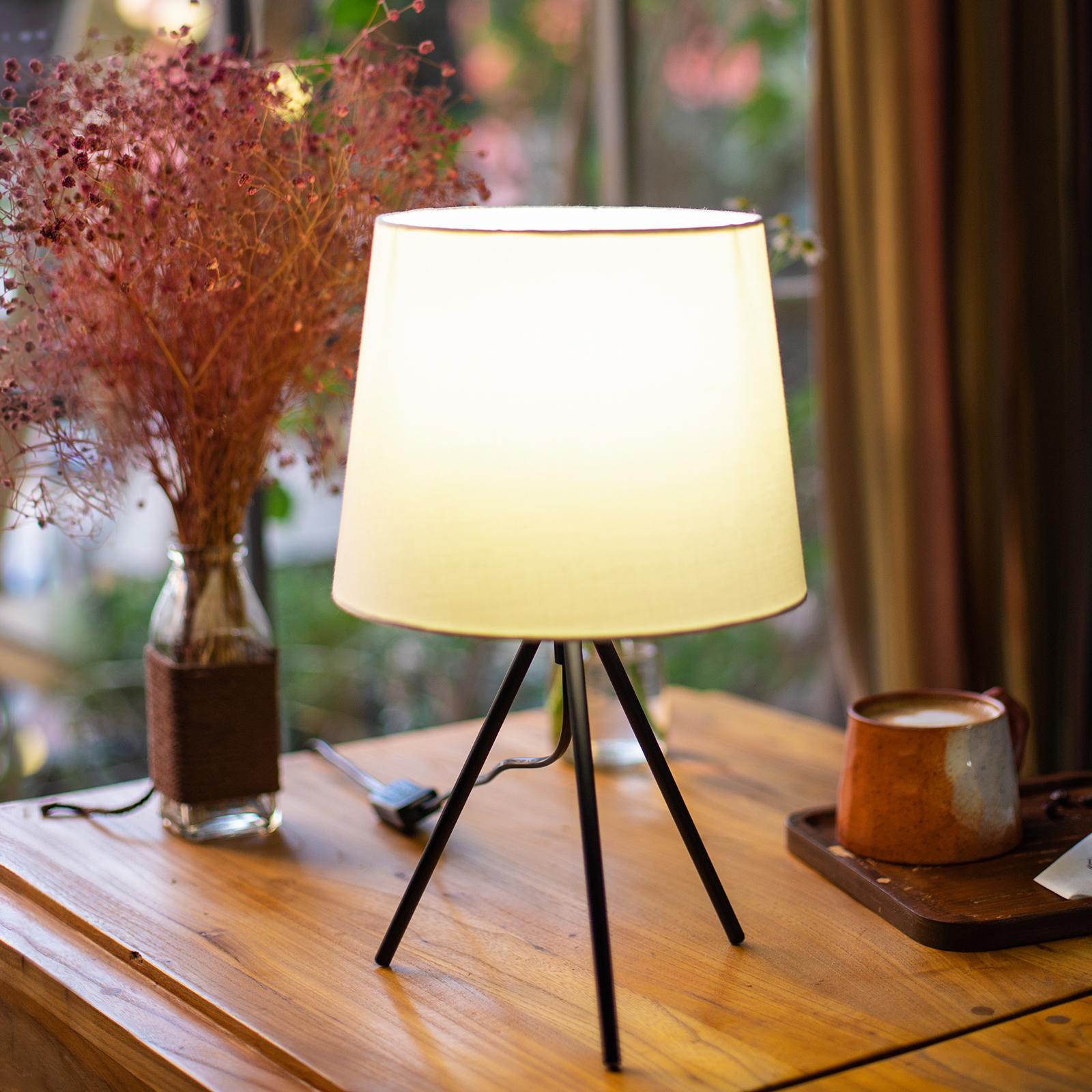 Metal Table Lamp (Without Light Source) E14