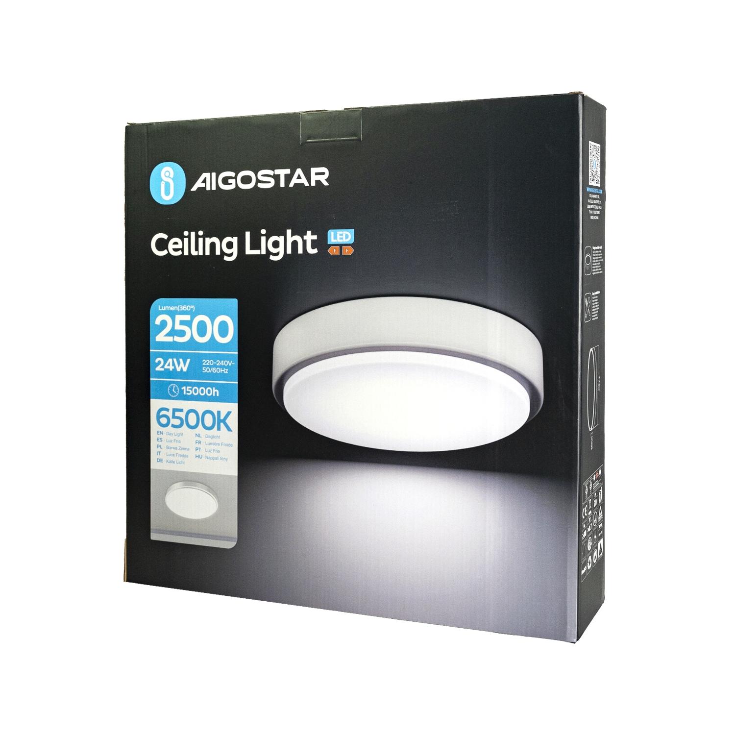 Ceiling Light 24W 6500K D400*H50 mm