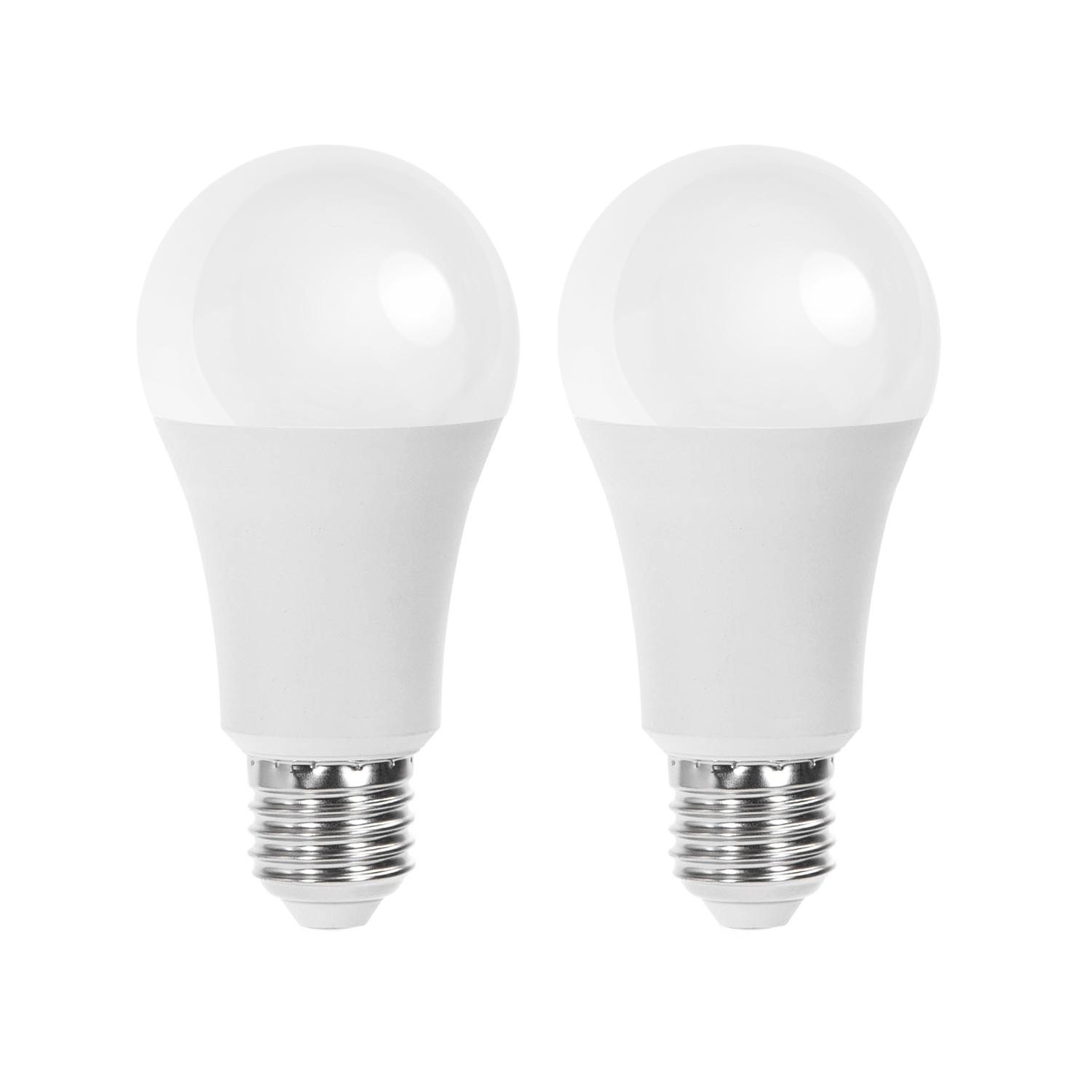 LED A5 A60 E27 21W 6500K/DOUBLE