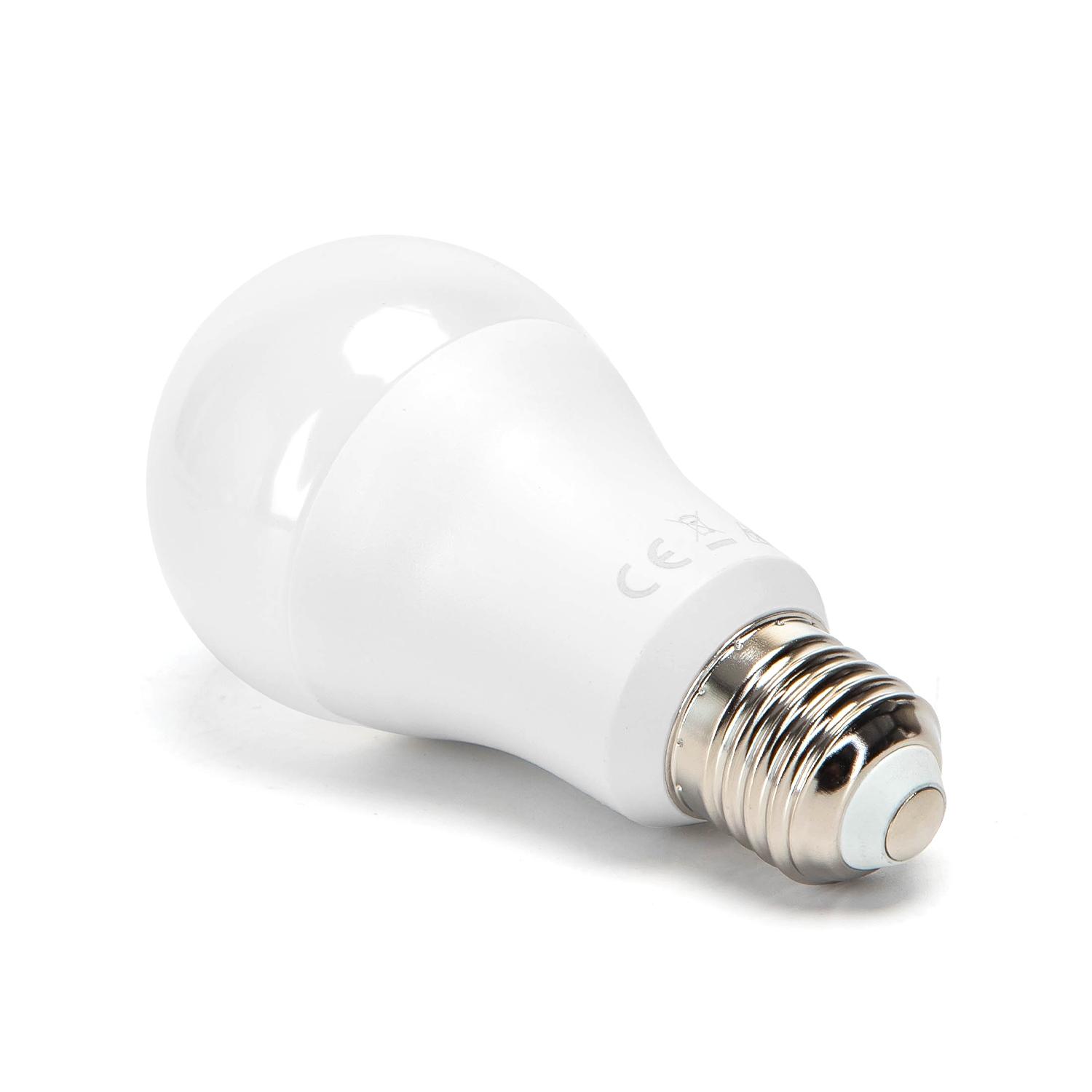 LED E27 17W A60 2pcs ( general bulb )