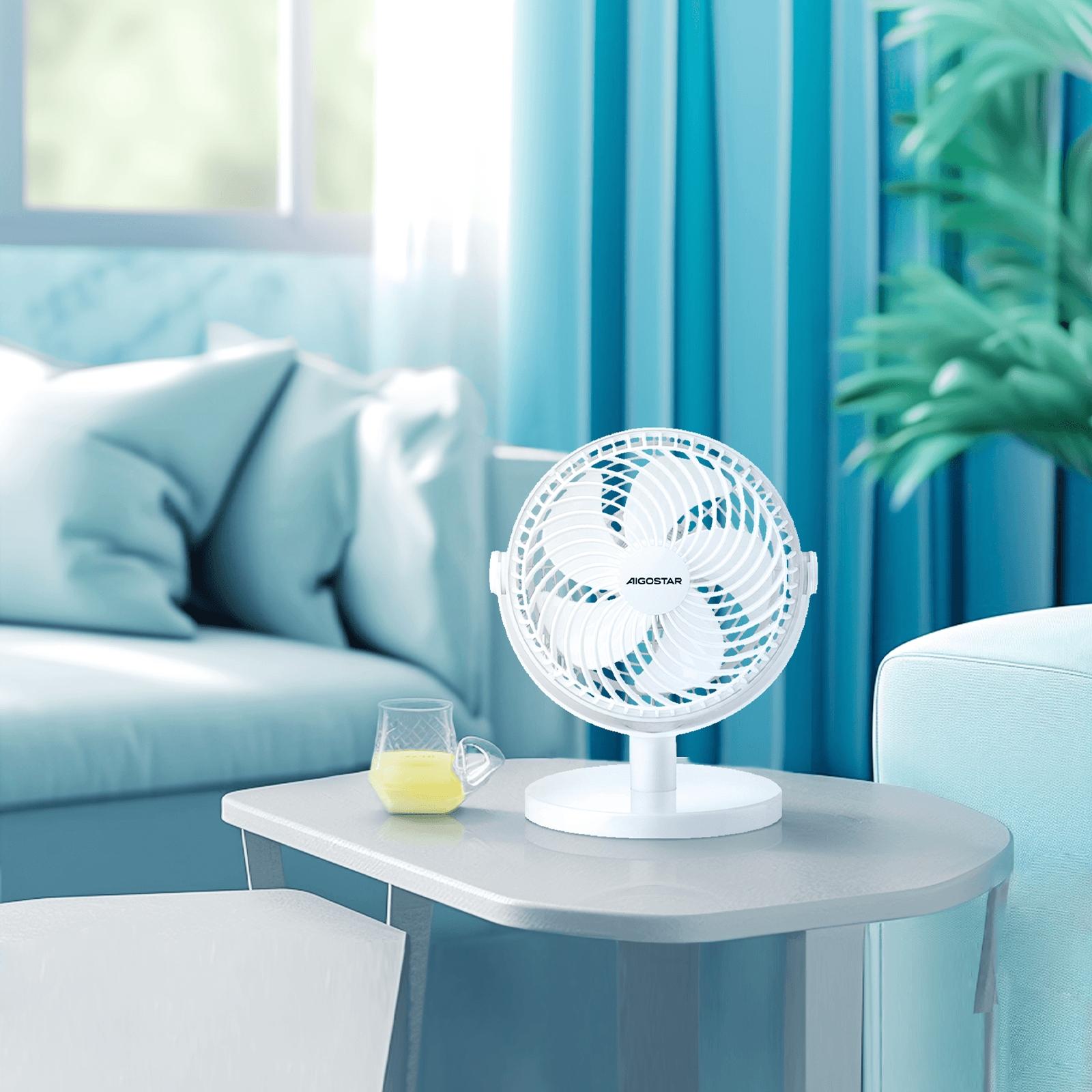 Table Fan