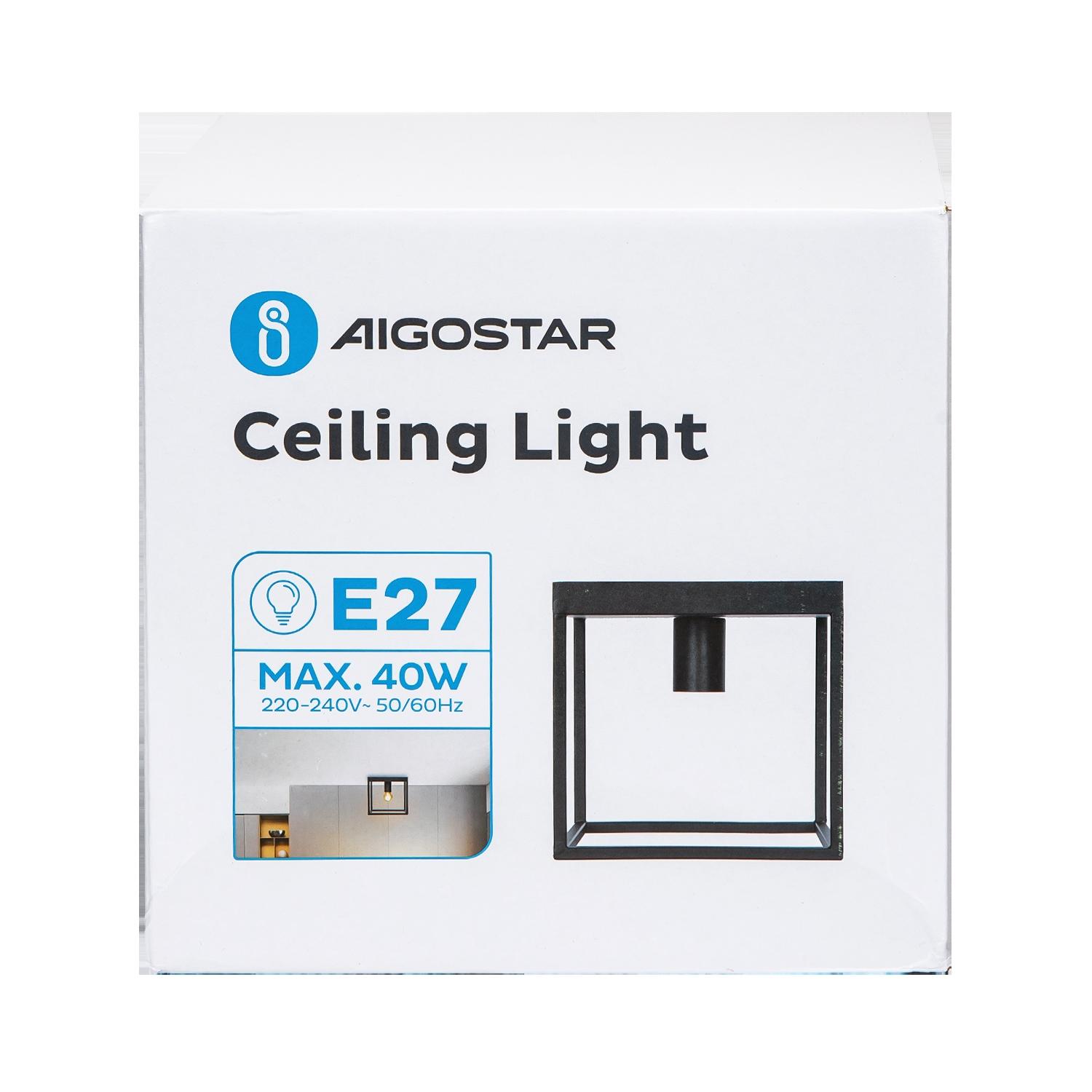 Ceiling Light Max.40W L22*W22*H22 cm