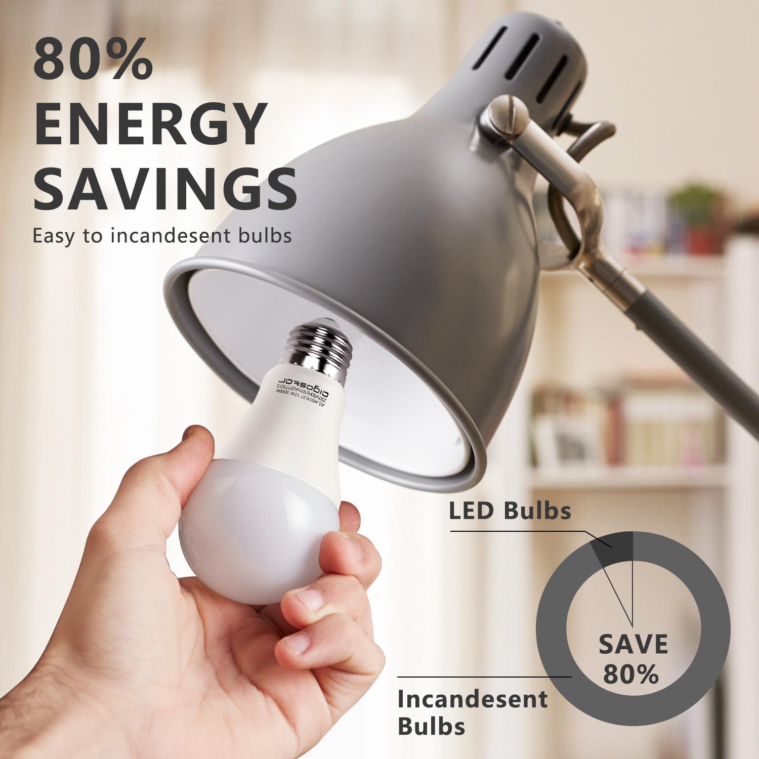 LED E27 12W A60 ( general bulb )