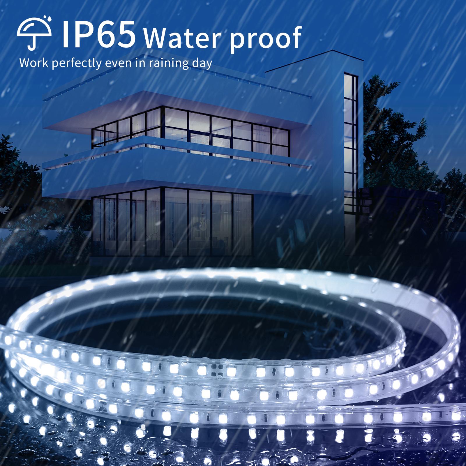 Integrated circuit LED strip light 2835 Day light