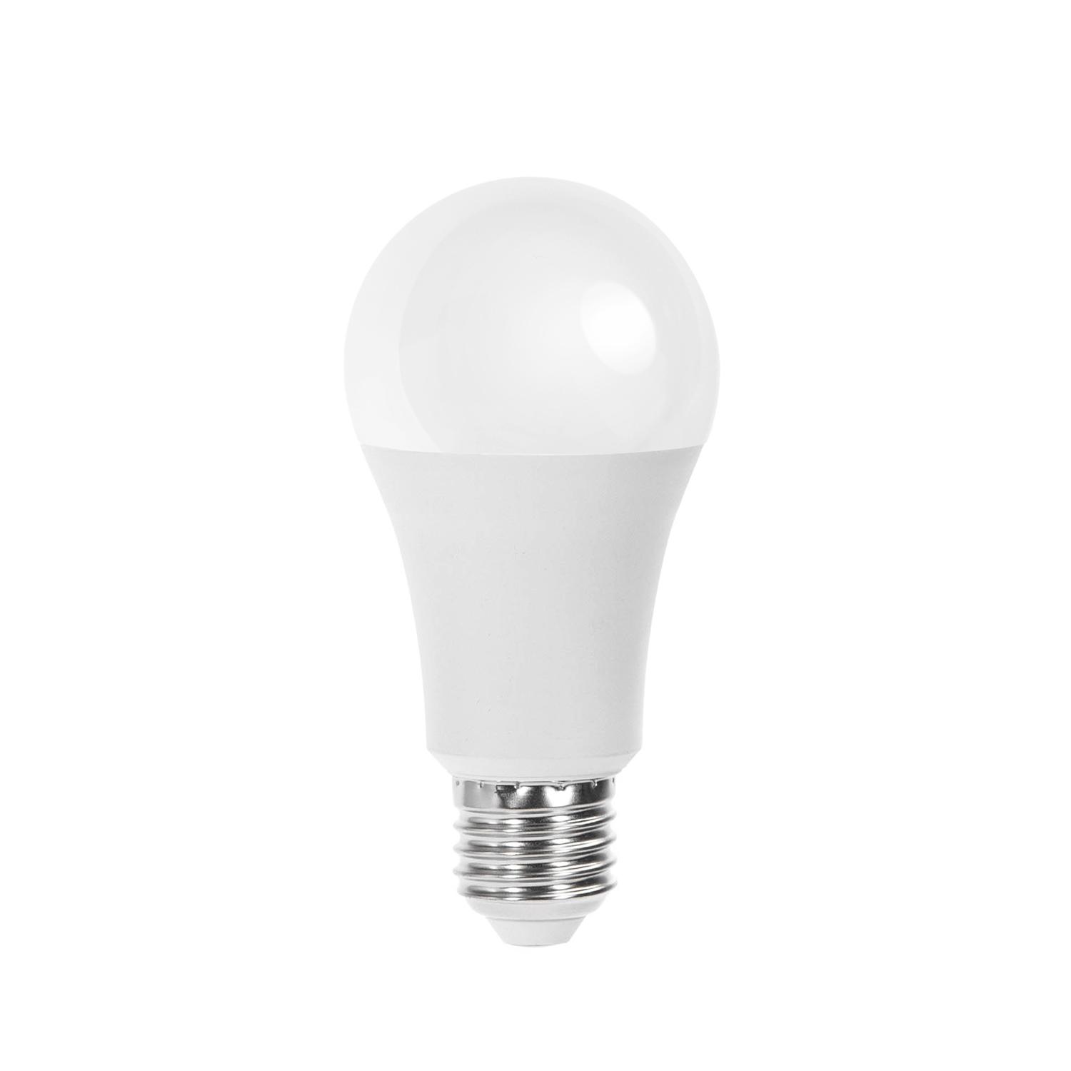 LED E27 15W A60 ( general bulb )