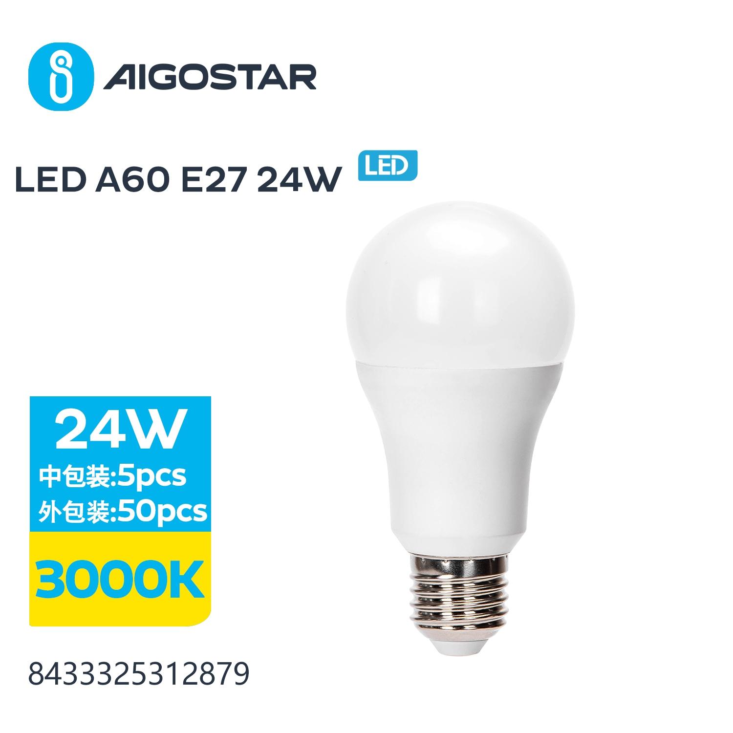 LED E27 24W A60 ( general bulb )