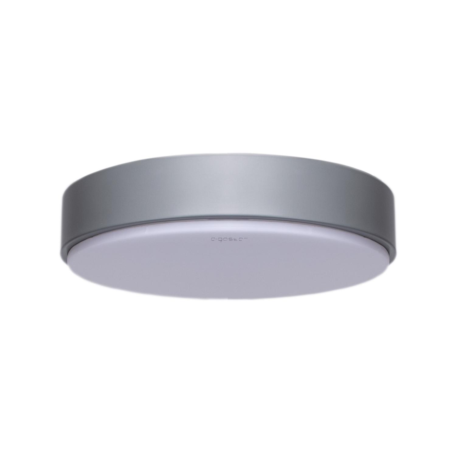 Ceiling Light 20W 4000K D300*H50 mm