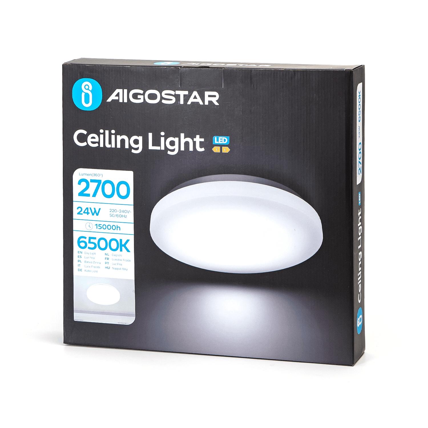 Ceiling Light 24W 6500K D380*H63 mm