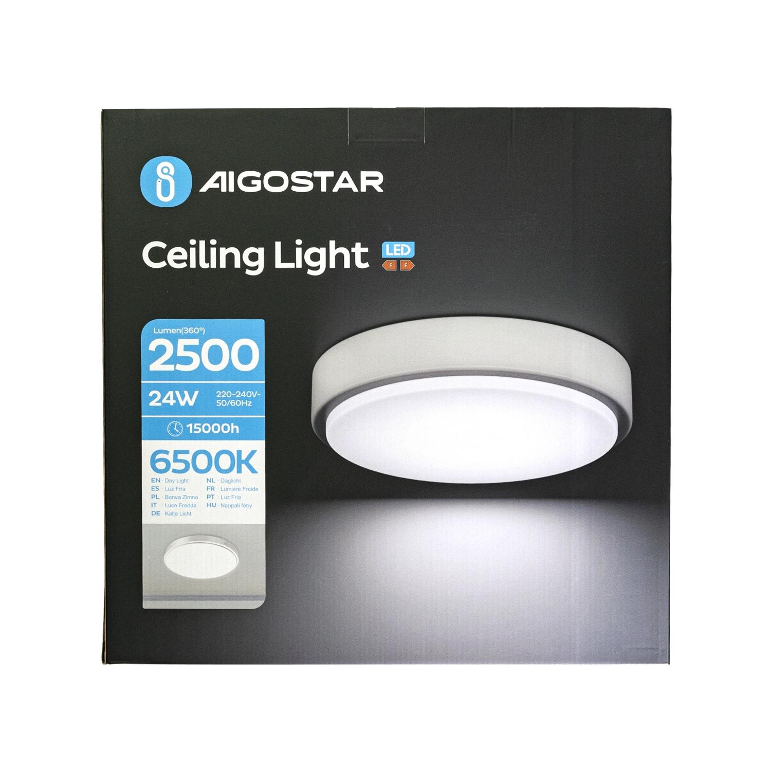 Ceiling Light 24W 6500K D400*H50 mm