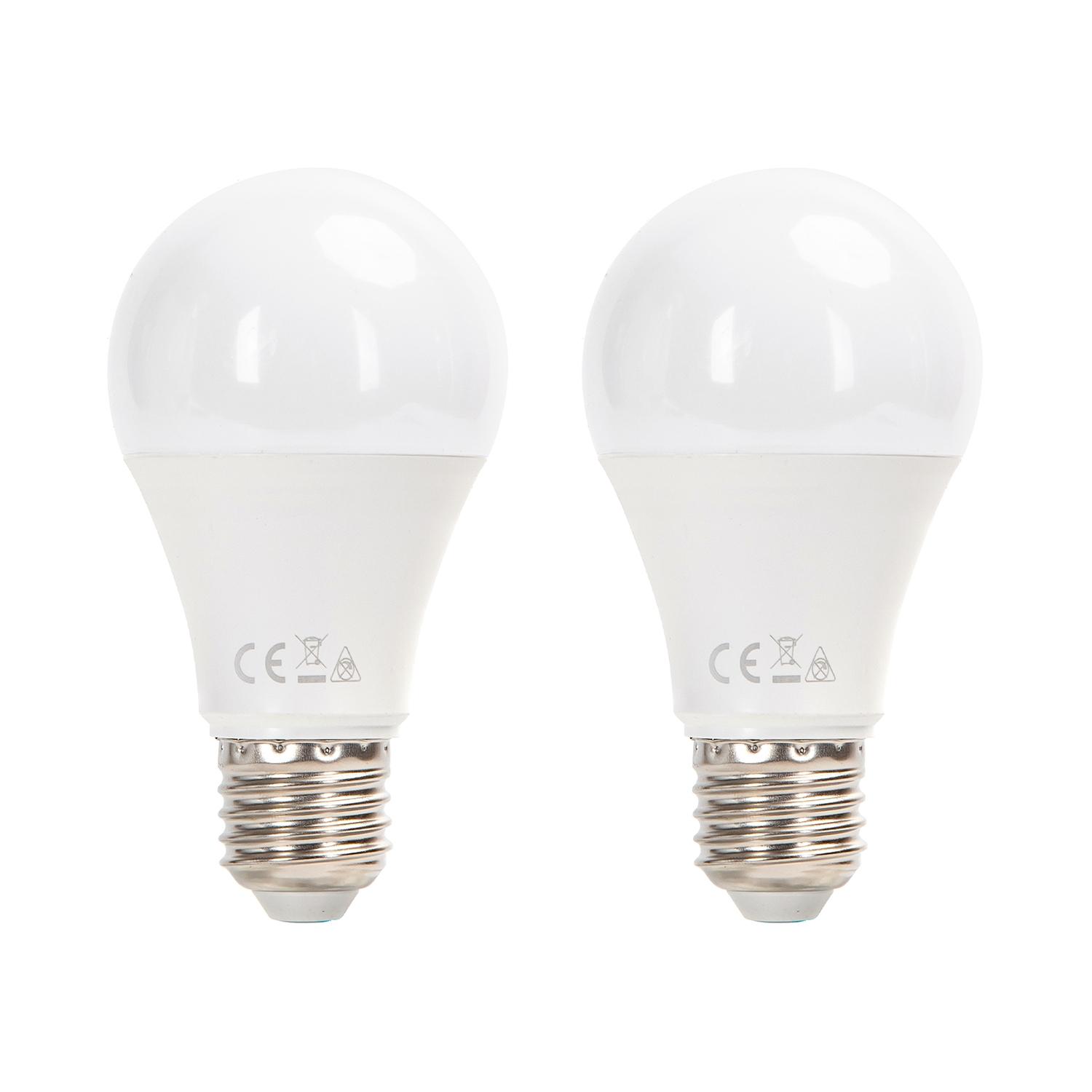 LED E27 15W A60 2pcs ( general bulb )