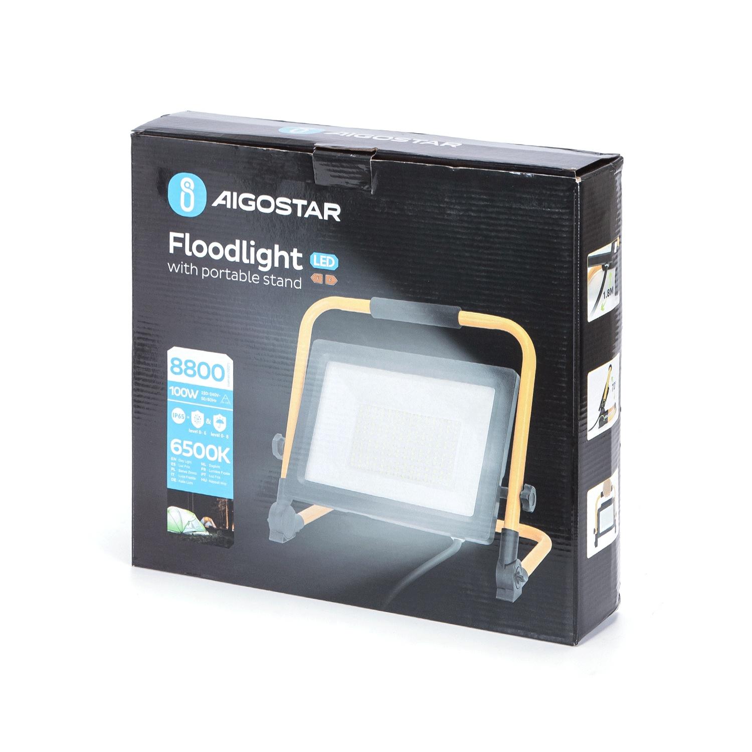 LED Portable Floodlight 100W