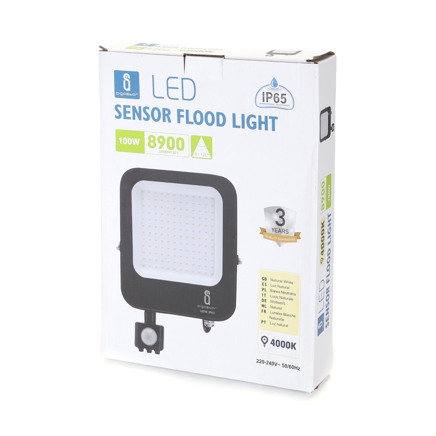 LED Floodlight with Sensor Black 100W