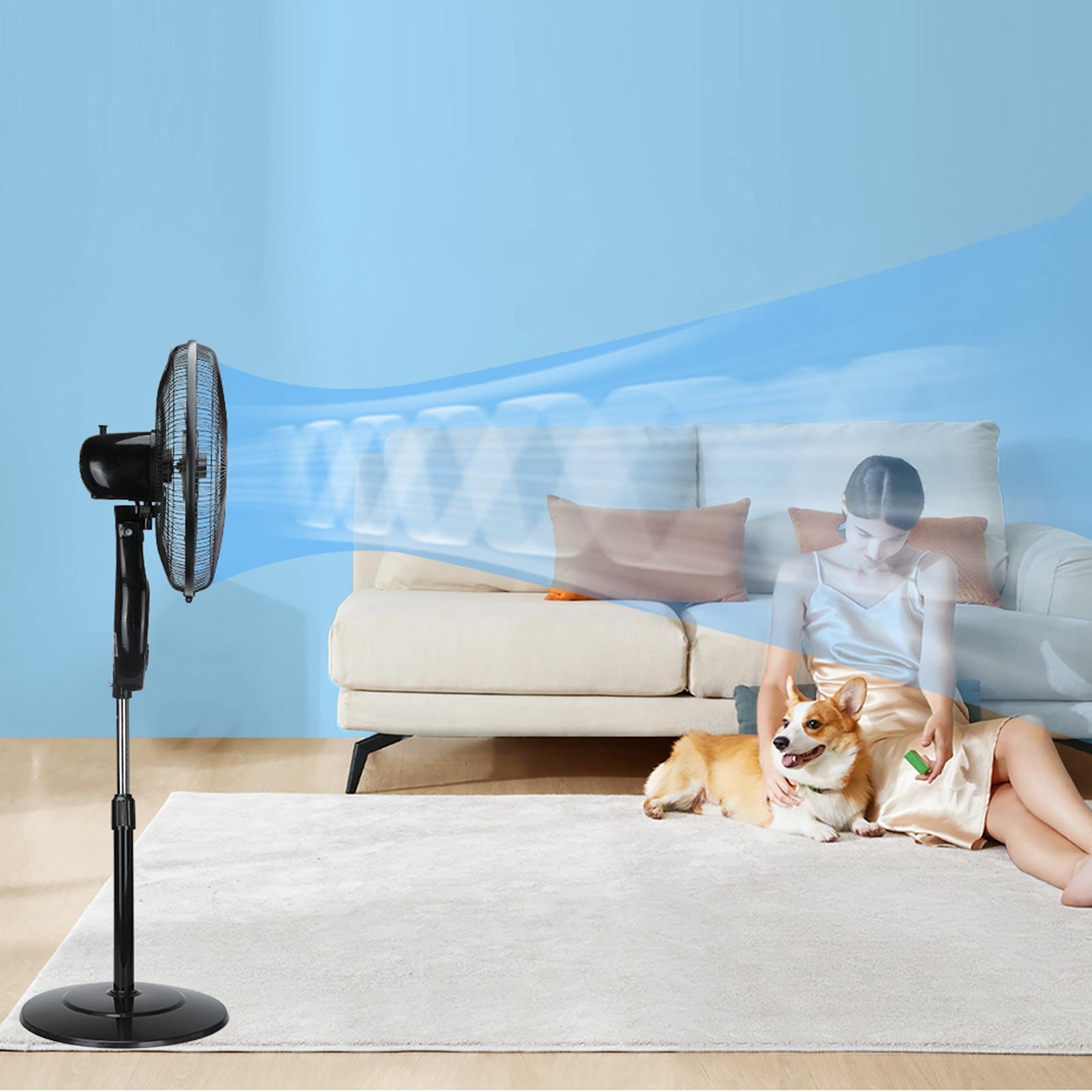 10-blade stand fan with remote control