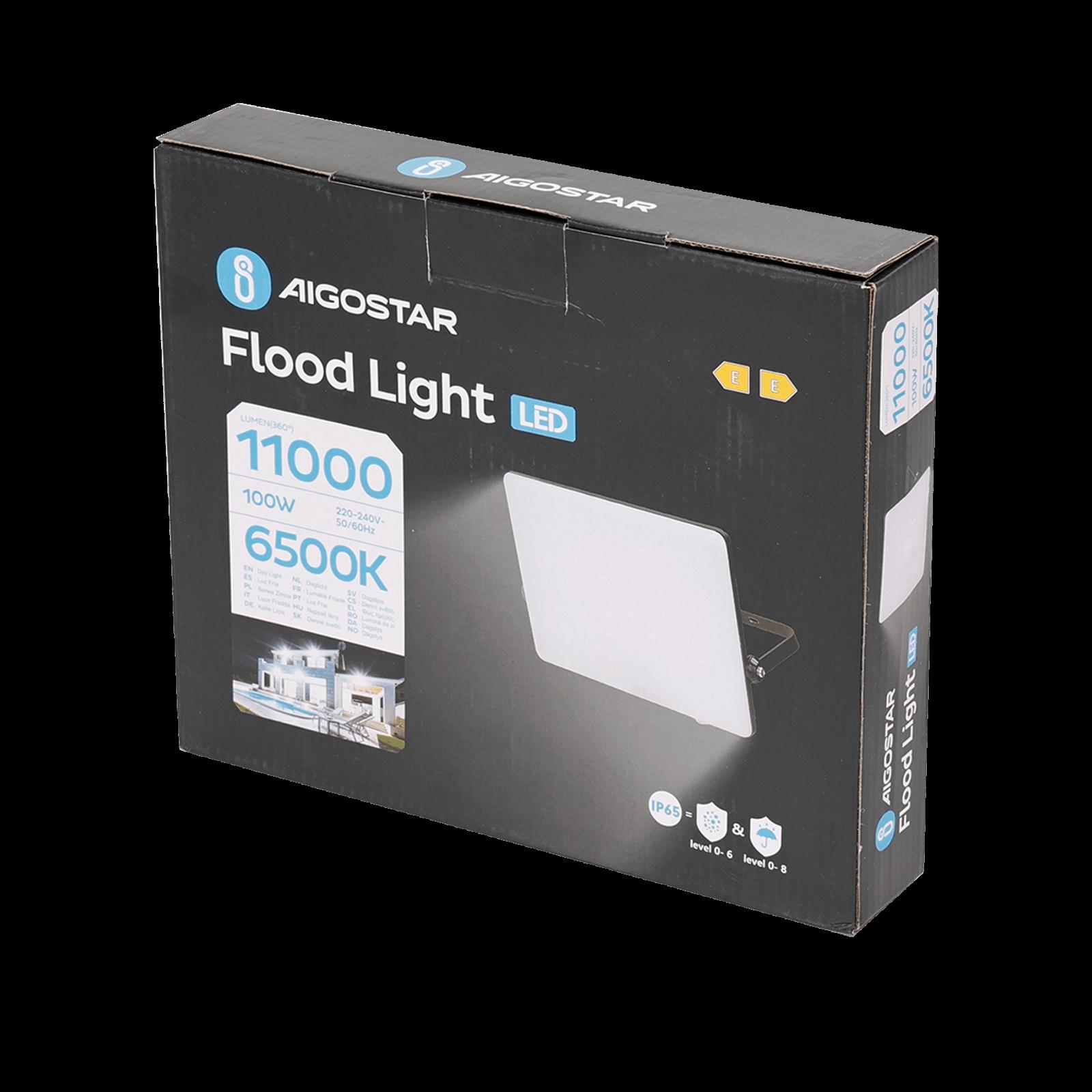 LED Frosted Cover Floodlight with Black Housing, 100W, 6500K