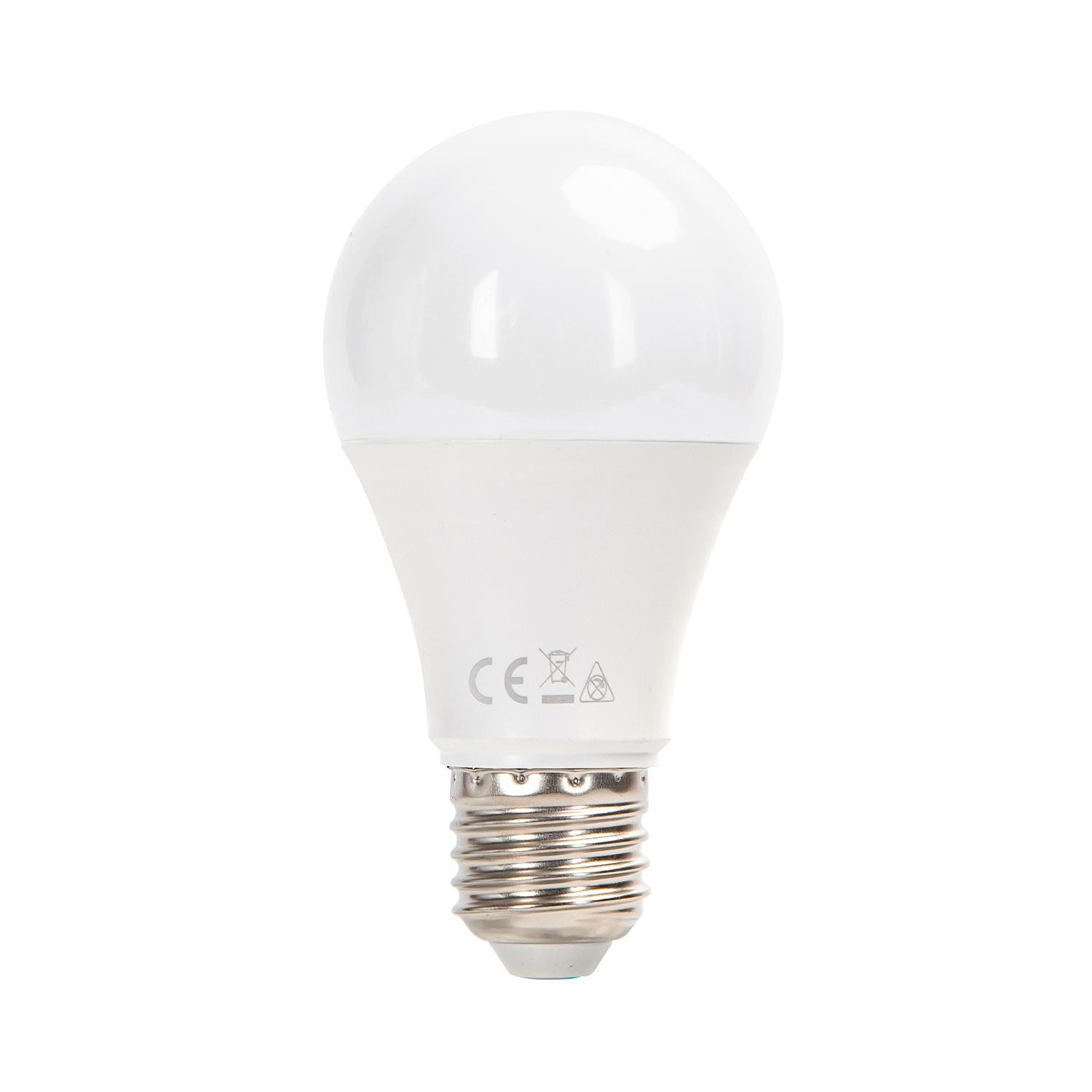 LED E27 11W A60 2pcs ( general bulb )