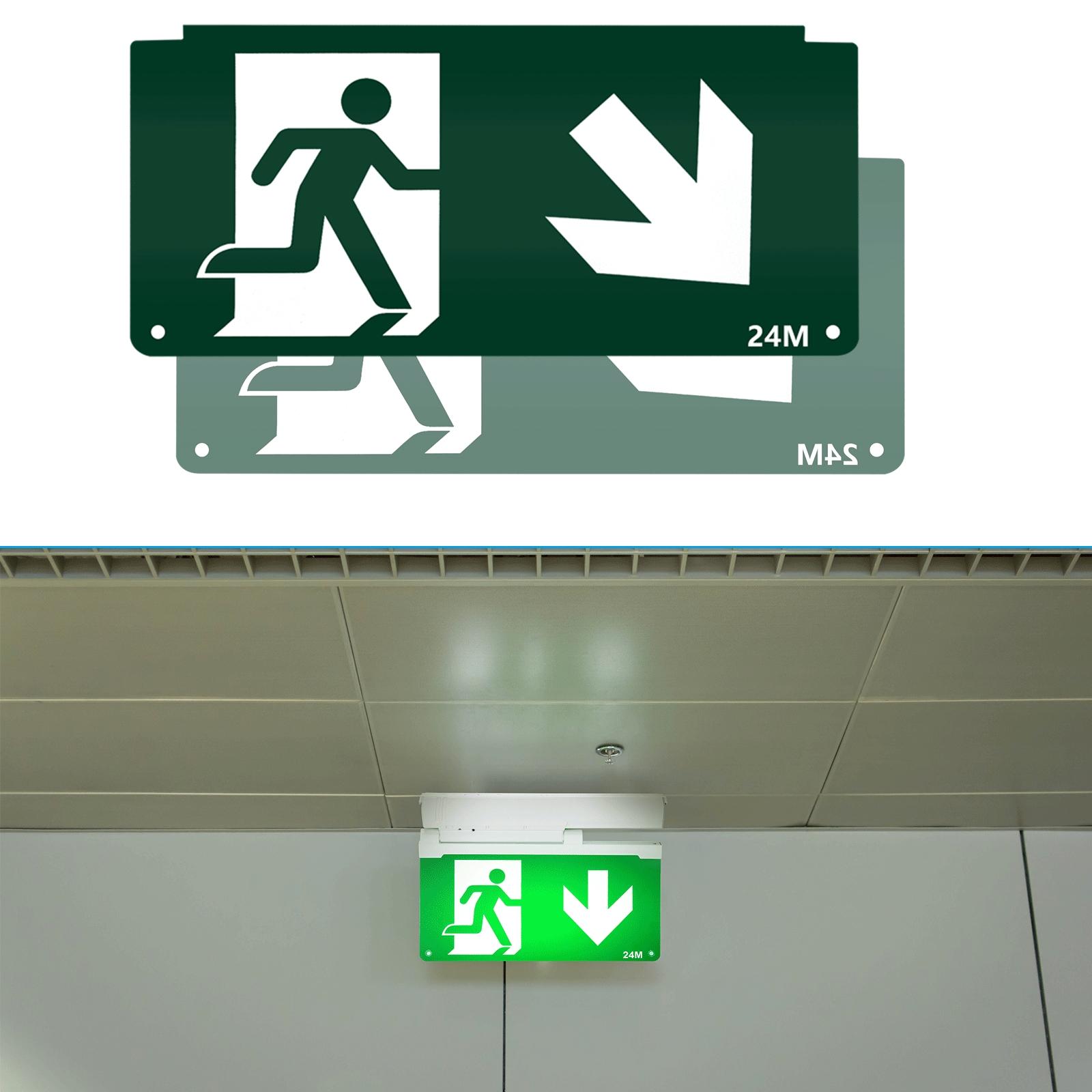 Emergency Light Accessory Indicator Diagram-01