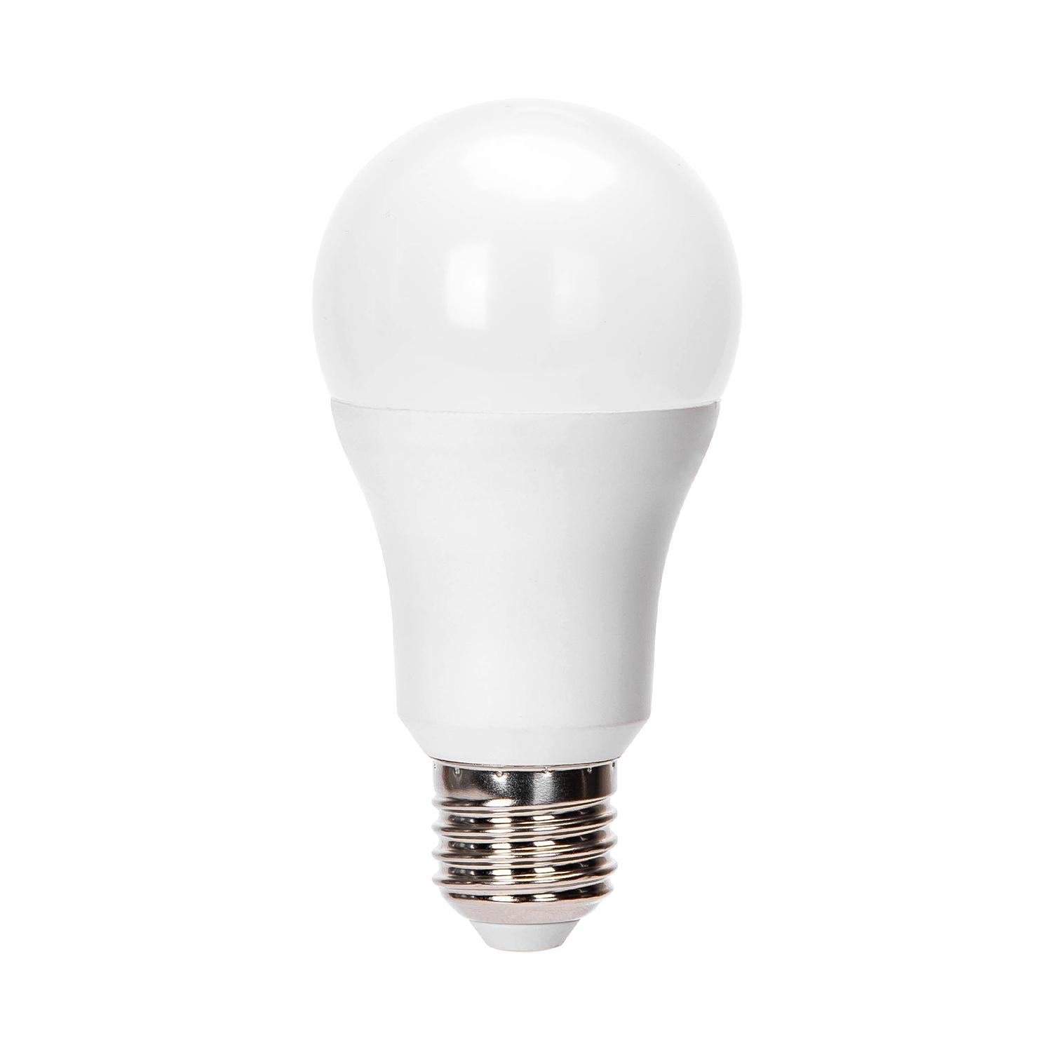 LED E27 24W A60 2pcs ( general bulb )