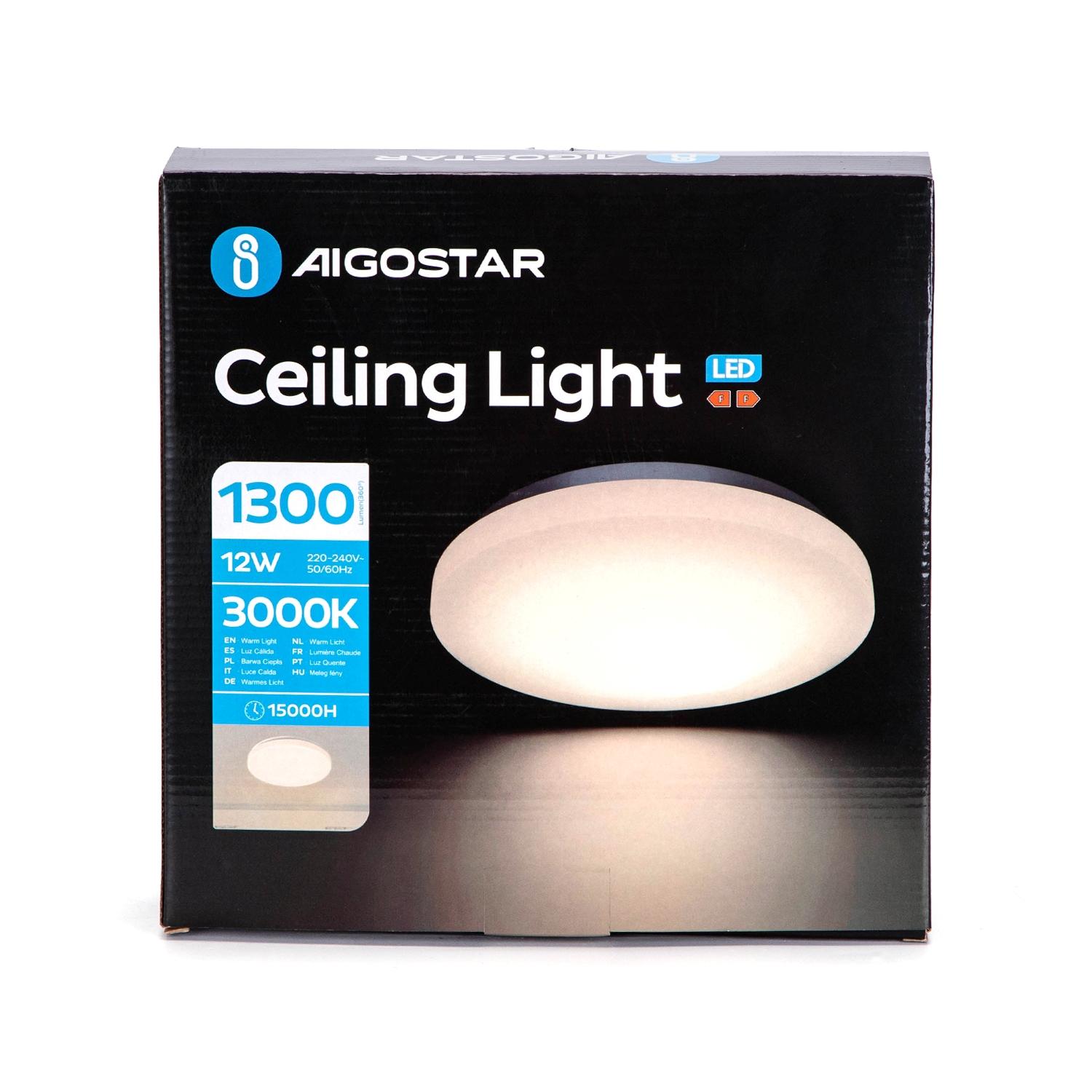 Ceiling Light 12W 3000K D260*H63 mm