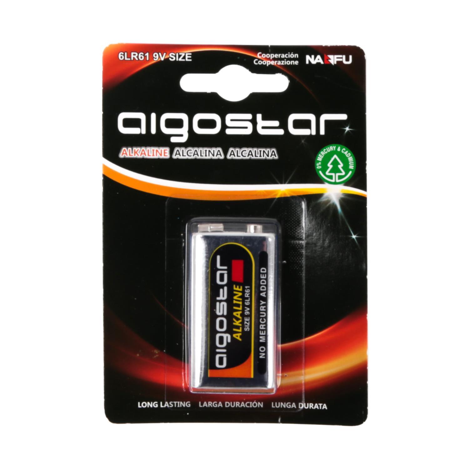 Alkaline battery 6LR61 9V-1B 9V