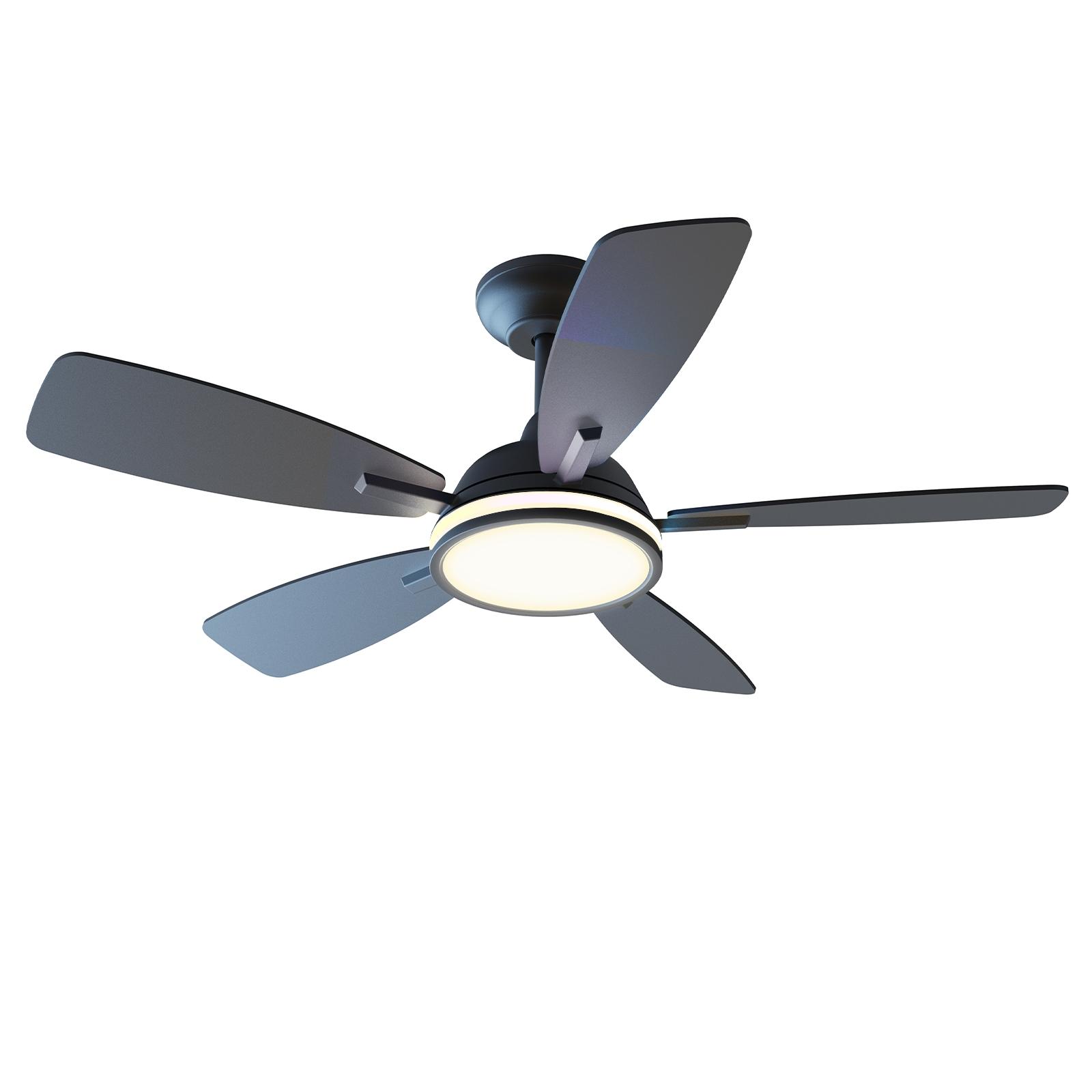 Bluetooth Mesh ceiling fan light CCT (3000-6500K) 52 inch 5-leaf 6-level black