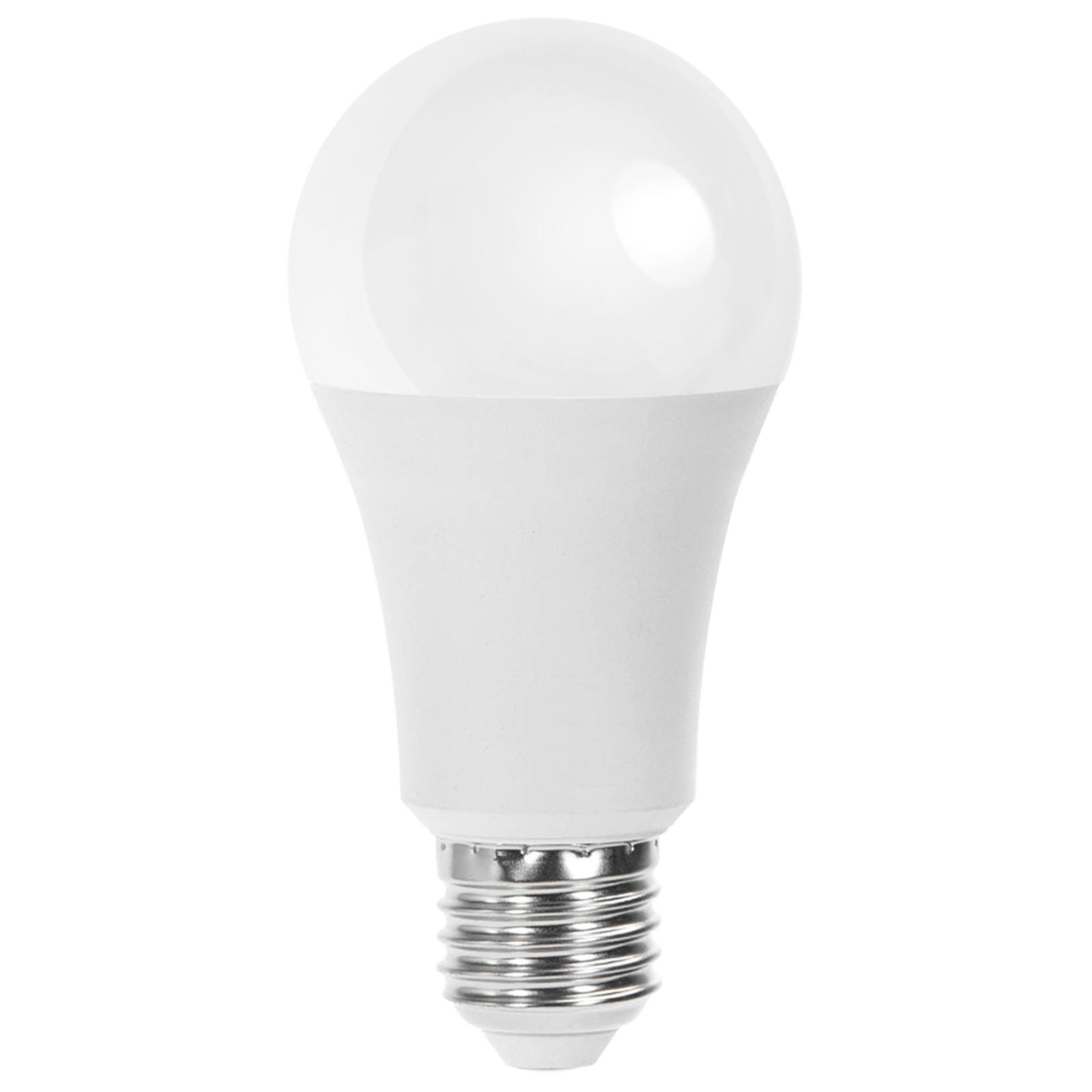 LED E27 17W A60 ( general bulb )