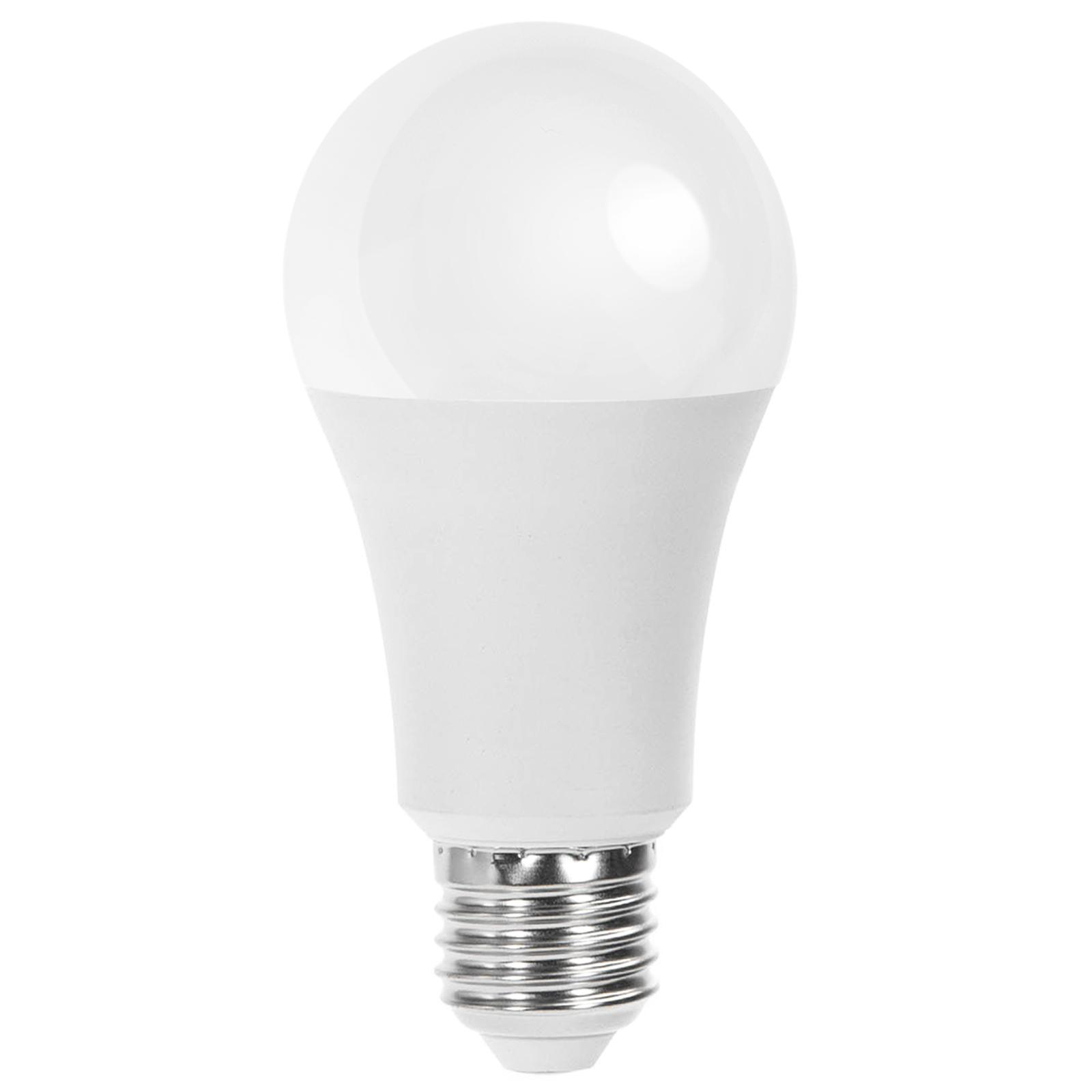 LED E27 15W A60 ( general bulb )