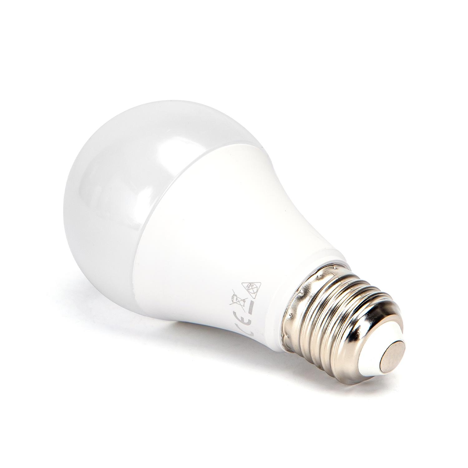 LED E27 10W A60 2pcs ( general bulb )