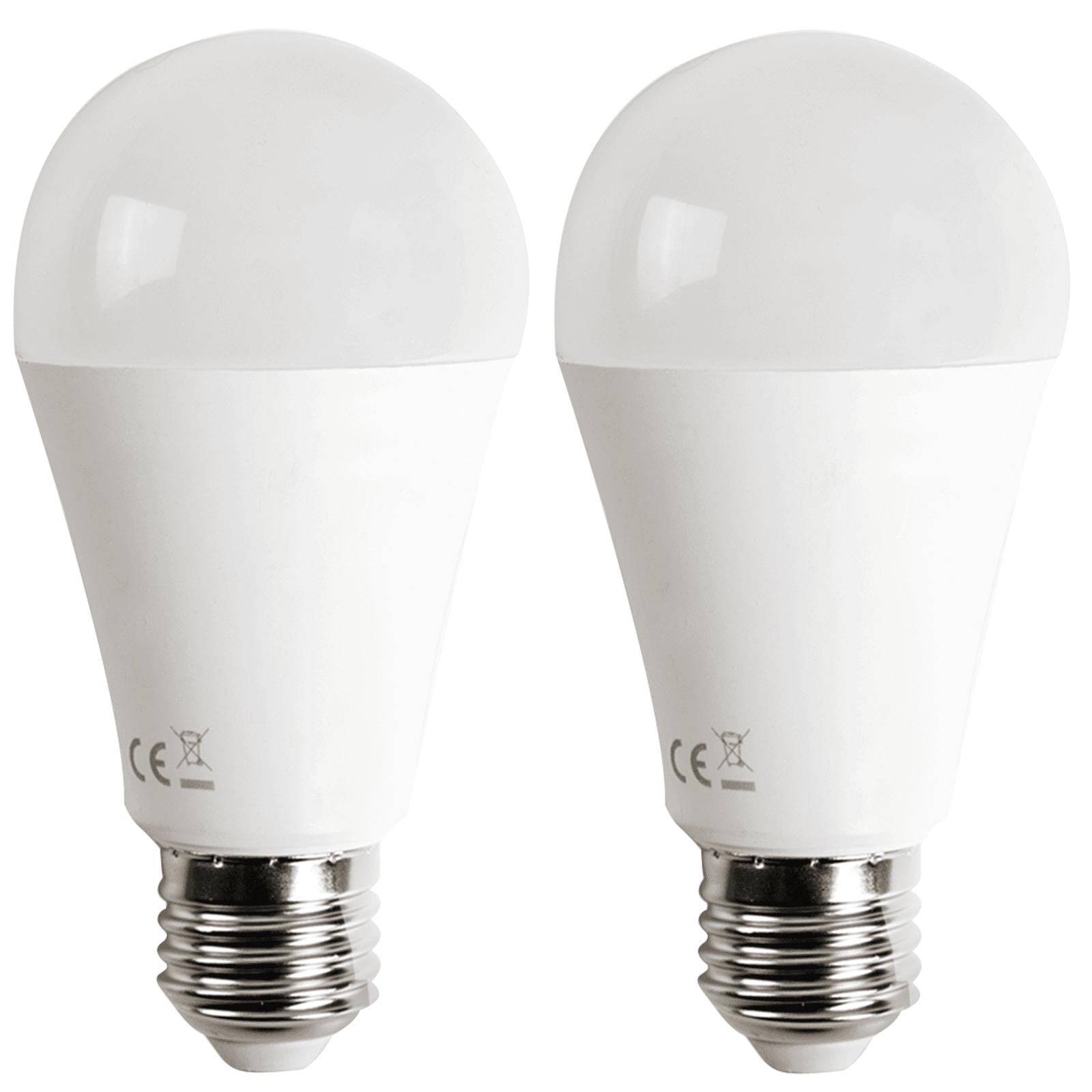 LED E27 19W A60 2pcs ( general bulb )