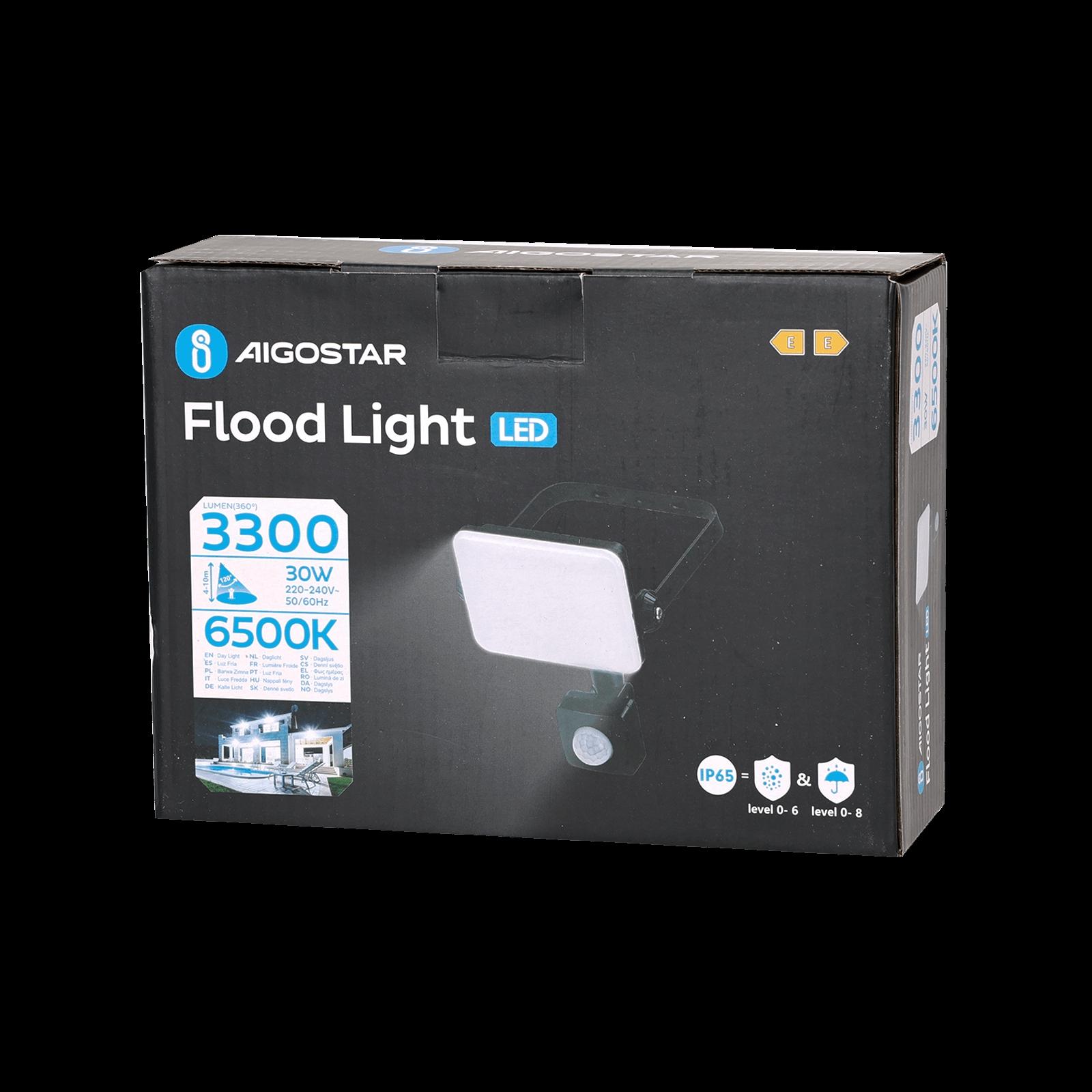 LED Motion Sensor Frosted Cover Floodlight with Black Housing, 30W, 6500K