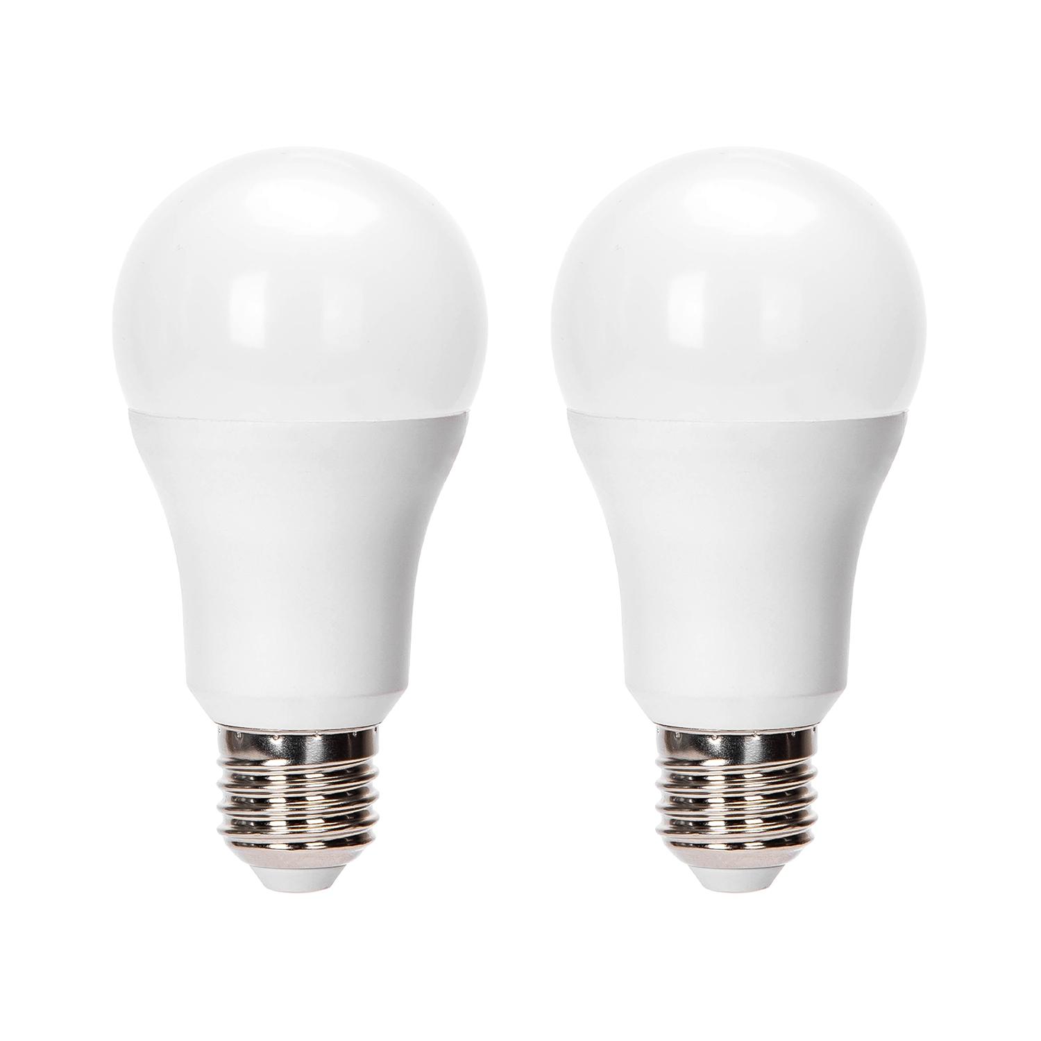 LED A5 A60 E27 24W 6500K/DOUBLE