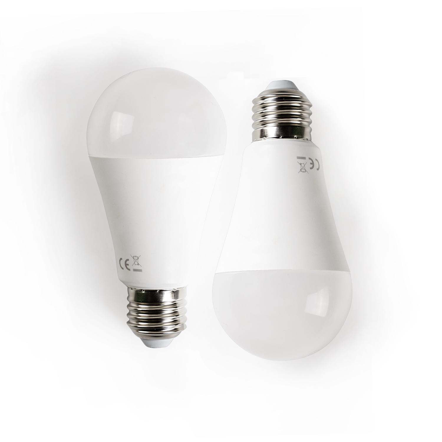 LED E27 19W A60 2pcs ( general bulb )