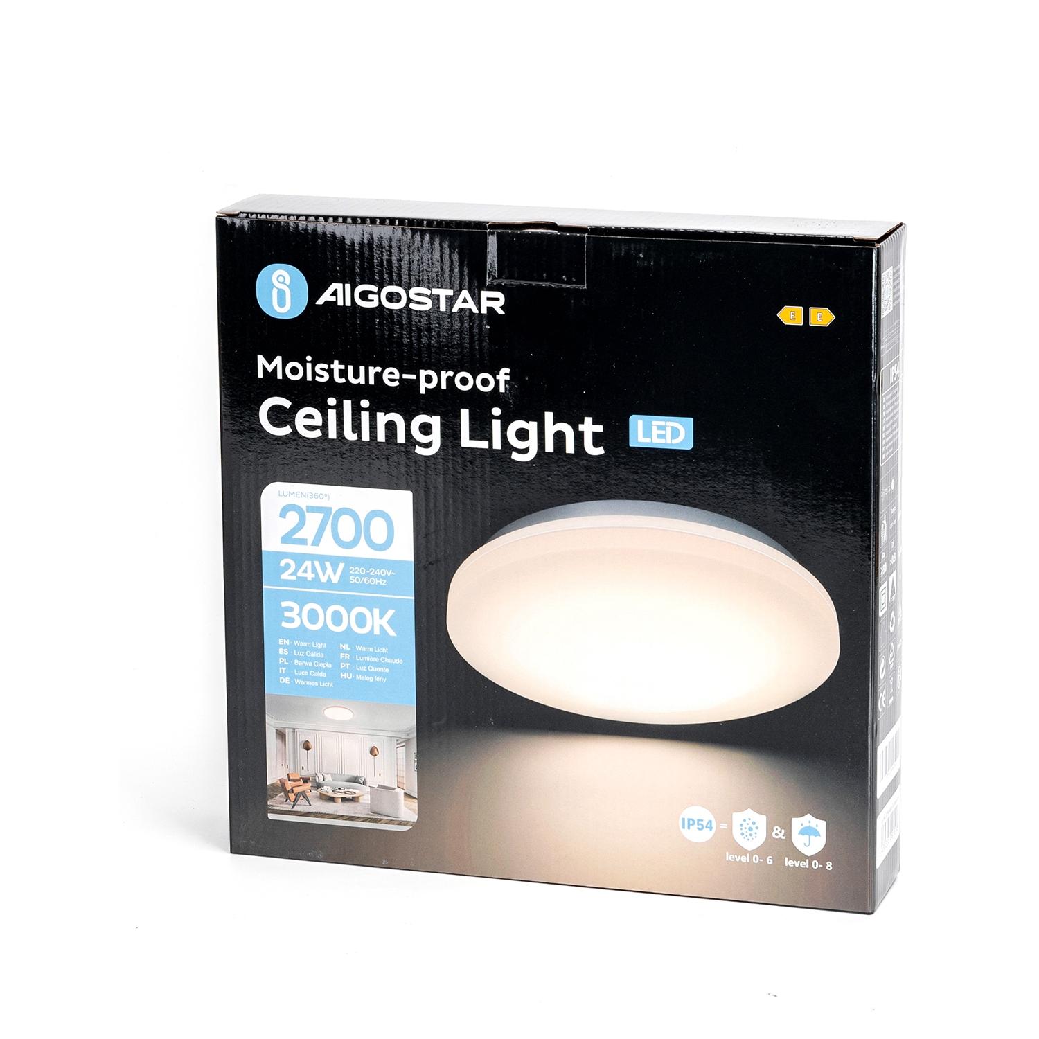 Ceiling Light 24W 3000K D280*H50 mm