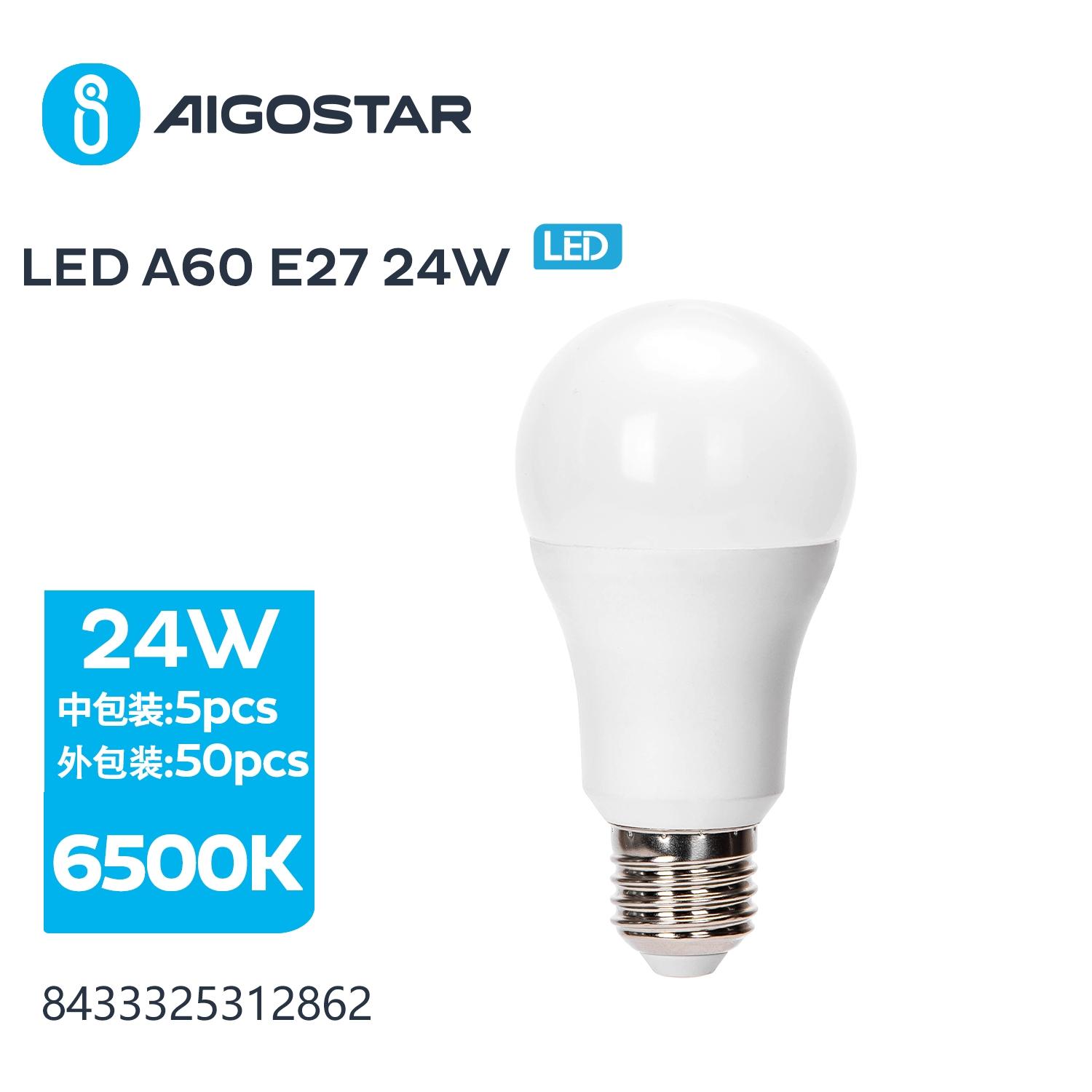 LED E27 24W A60 ( general bulb )